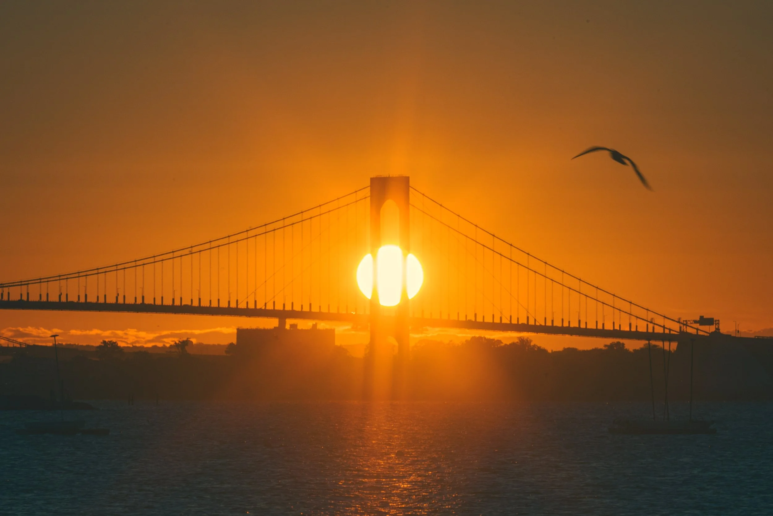 Whitestone Bridge Sunrise-35.jpg