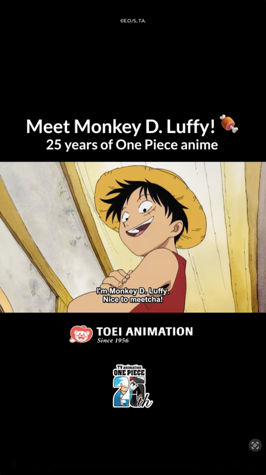 OP 25: Meet Monkey D. Luffy!