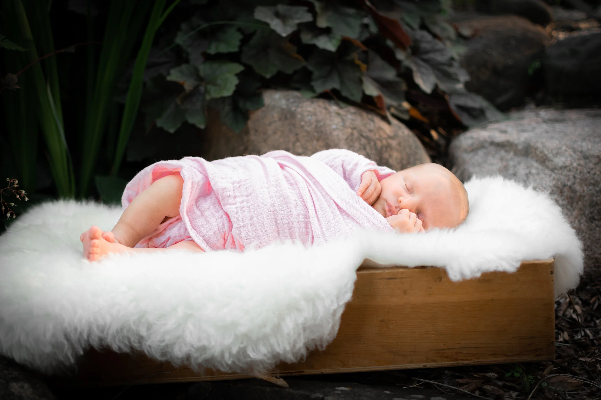 Briar Newborn Home Session