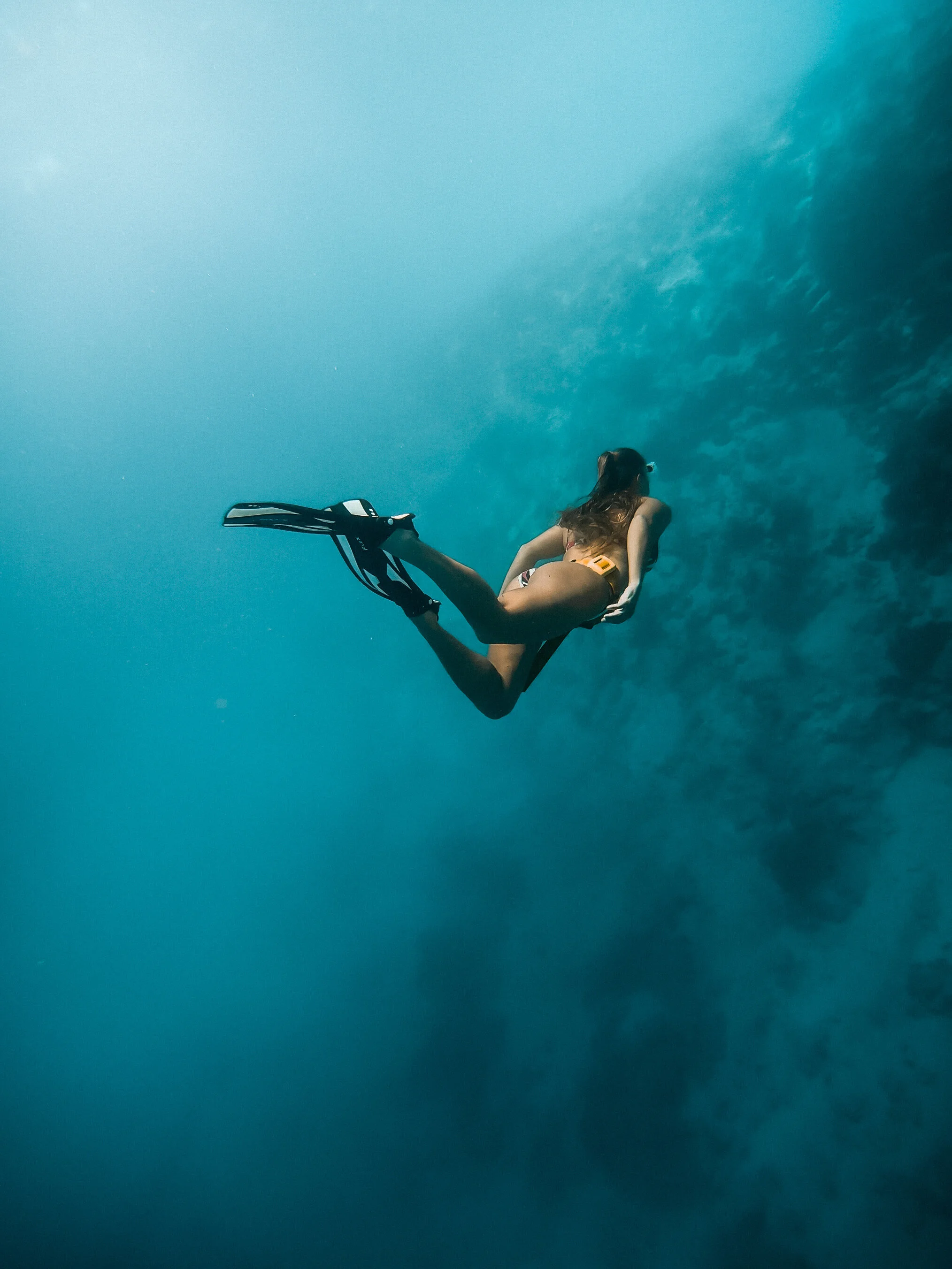 Planning the Maldives during COVID