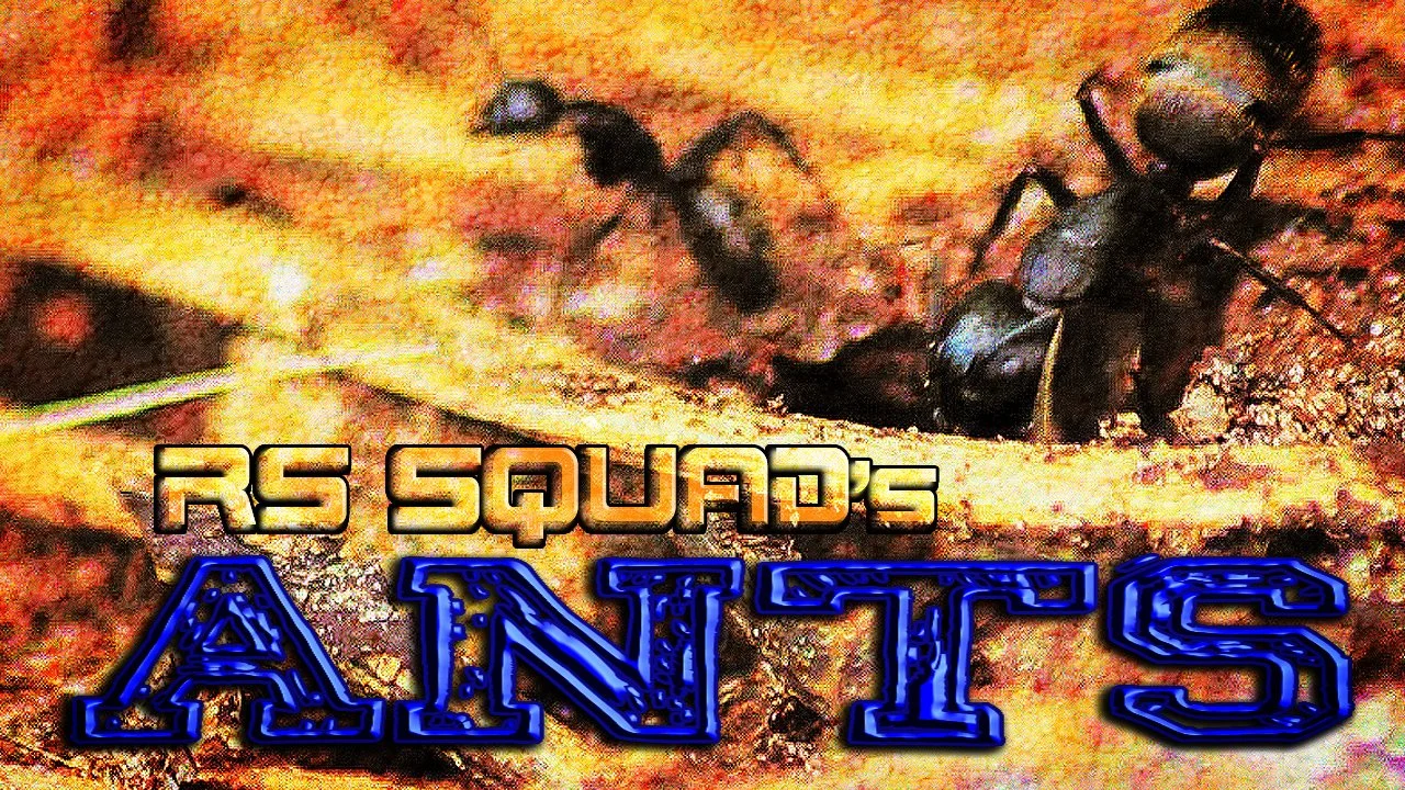 ants thumbnail.jpg