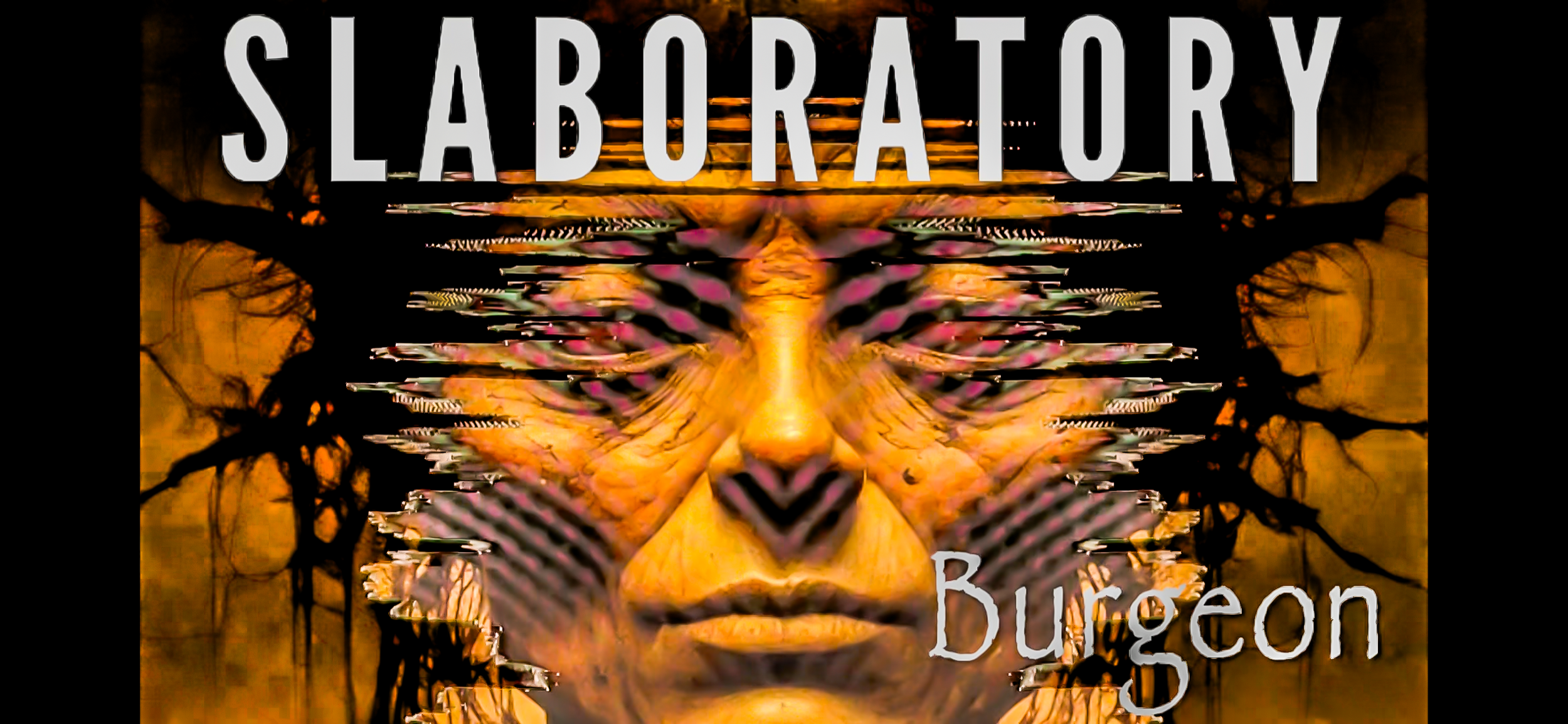 8F682BFD-31F2-49B1-81EE-2236CECD221F.png