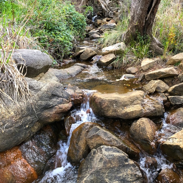 secret-waterway-hike-stream-yoga-yiking-yike-perth.jpg