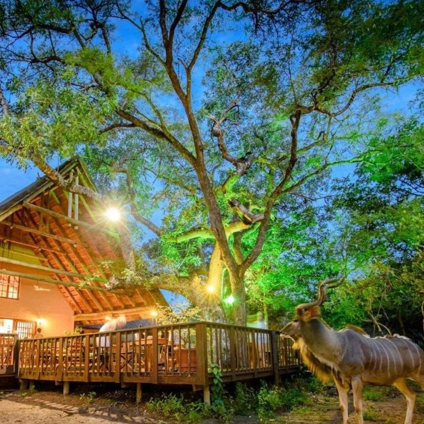 Lodge+Deck+Kudu+2+Africa+Safari+Yoga+Retreat.jpg