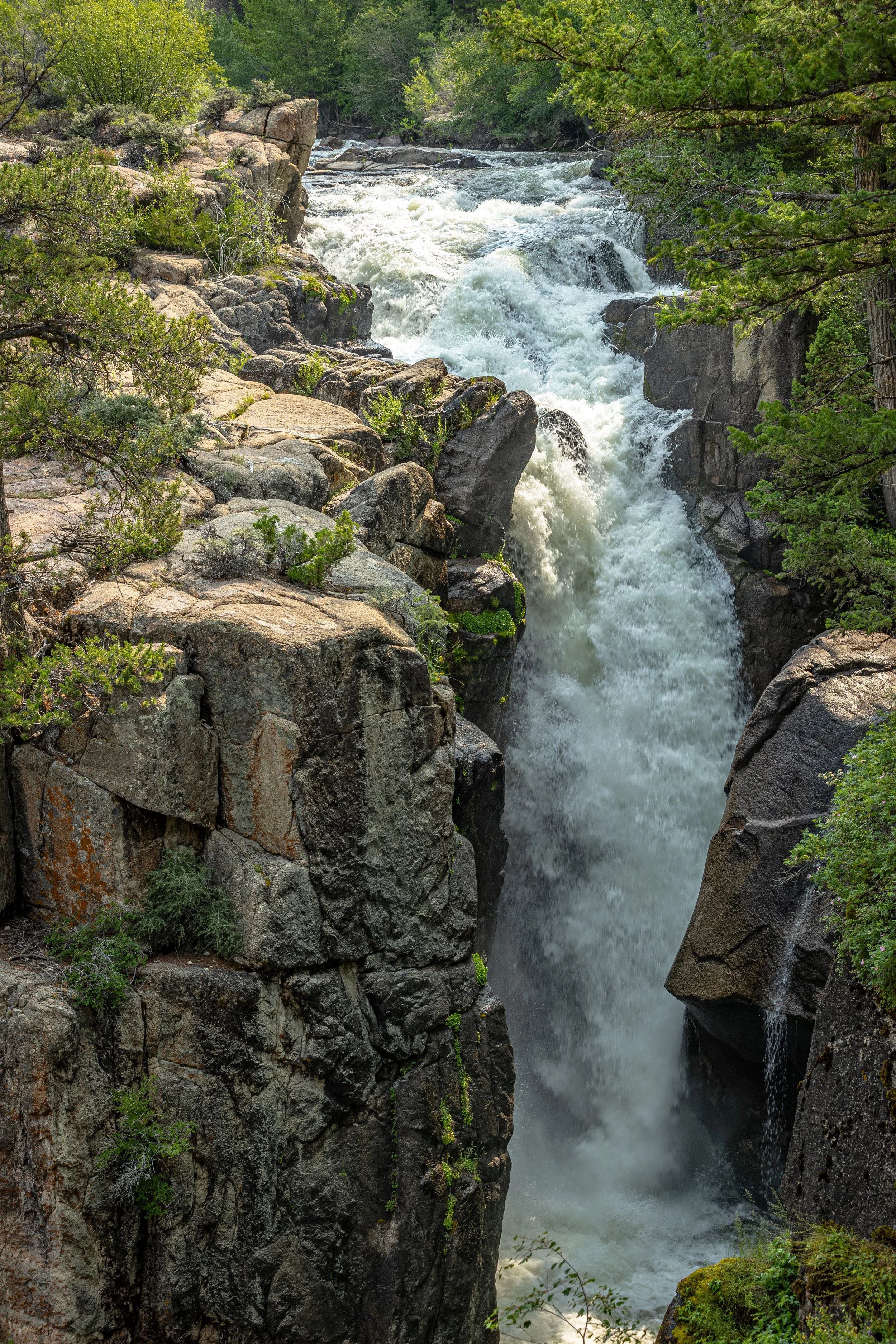 Epic Road Trip 2024 042-2.jpg