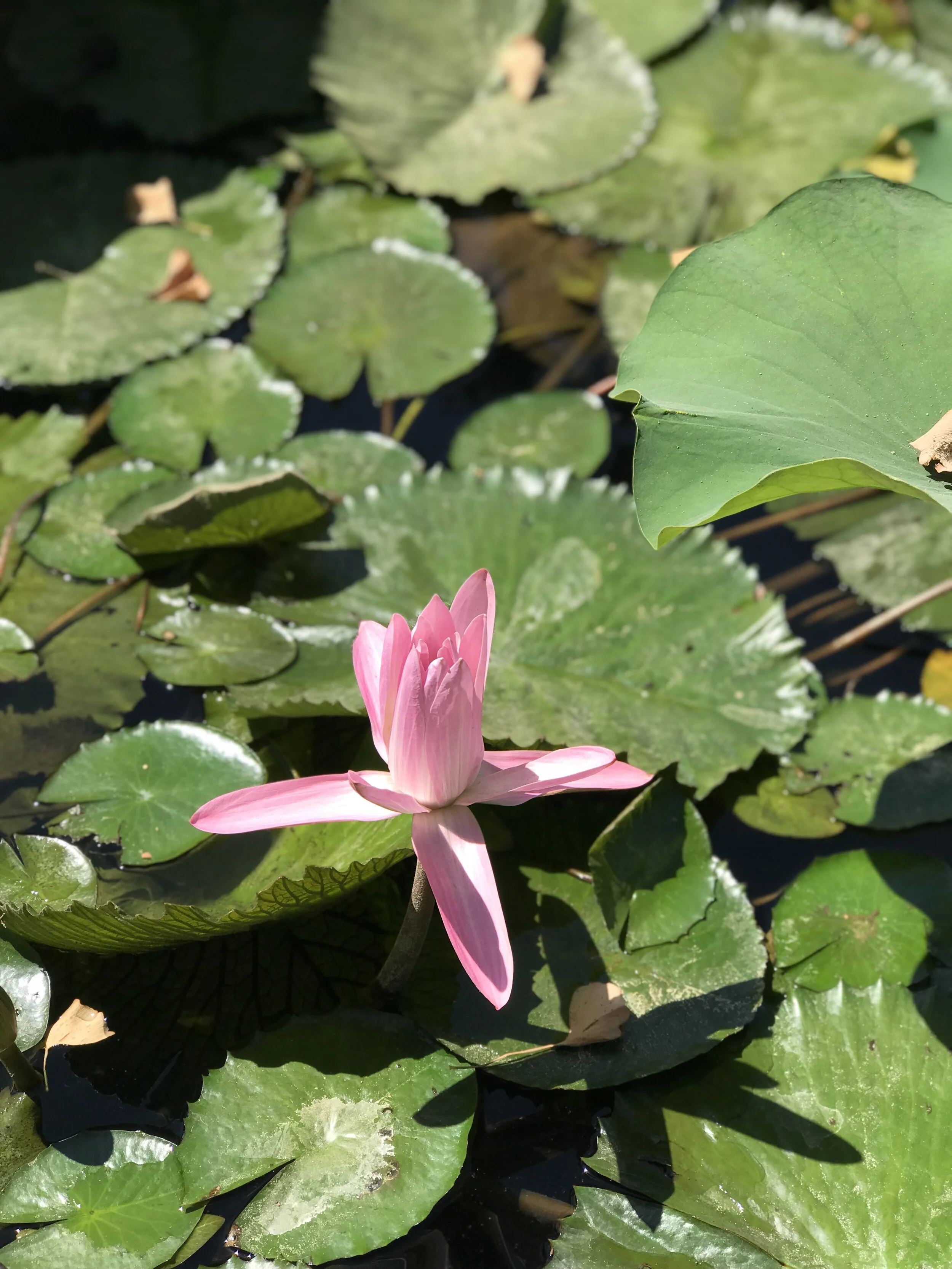 Maintain a Seeking Mind