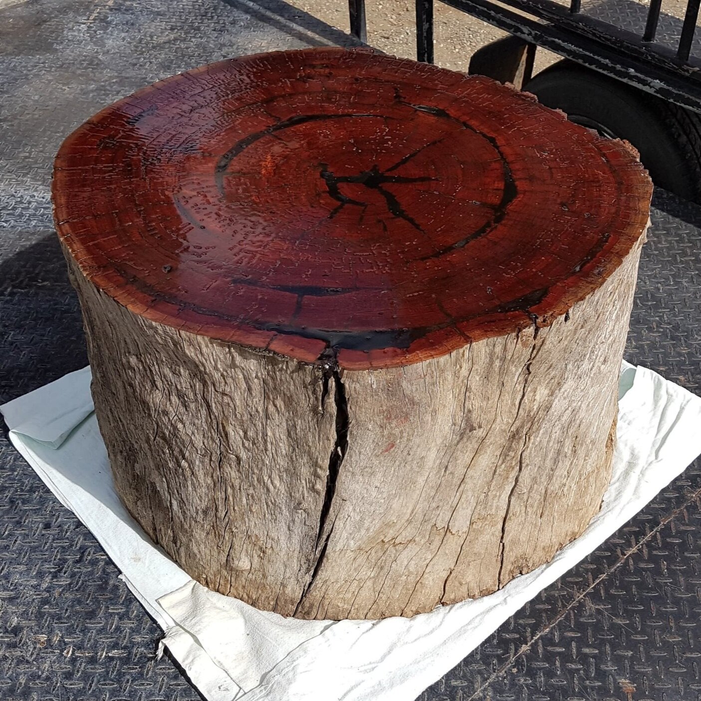 Red Gum Log Seat