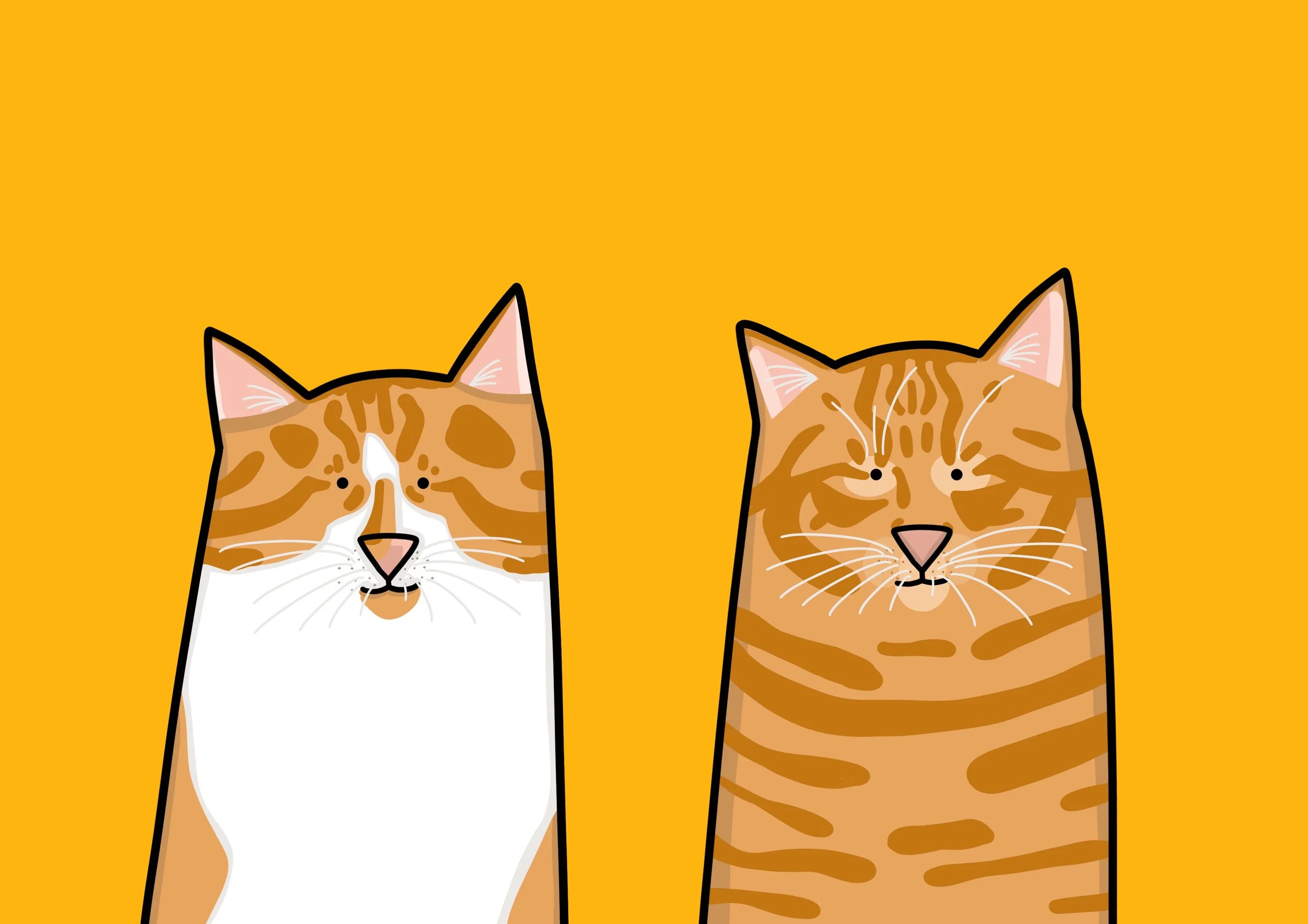 Digital Pet Drawings