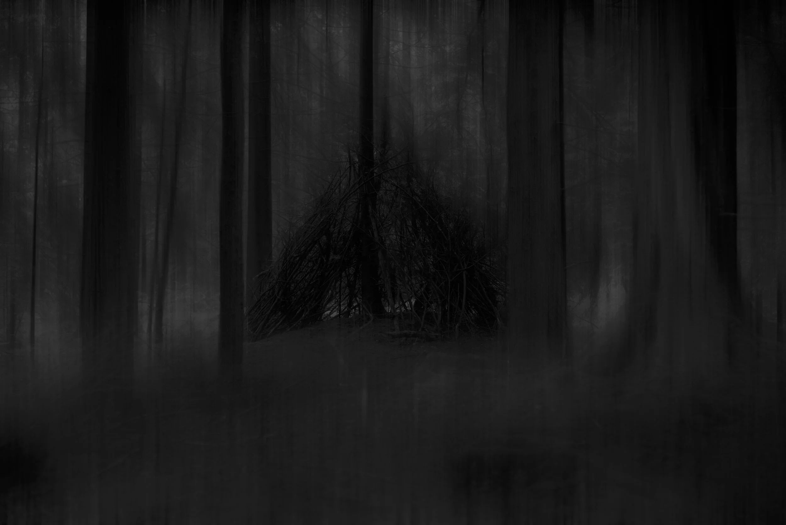 Kalum Carter -Dark Wood - Photographer UK