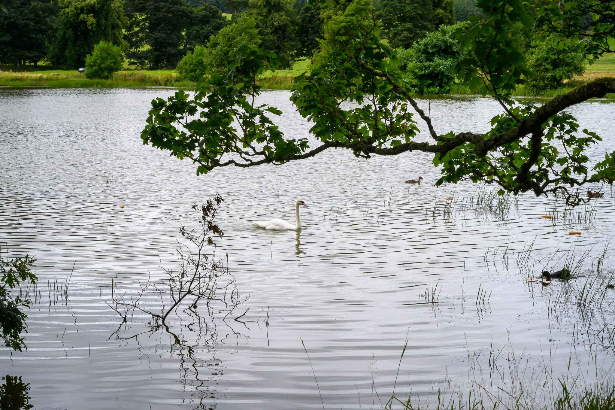 _0Z80422.jpg