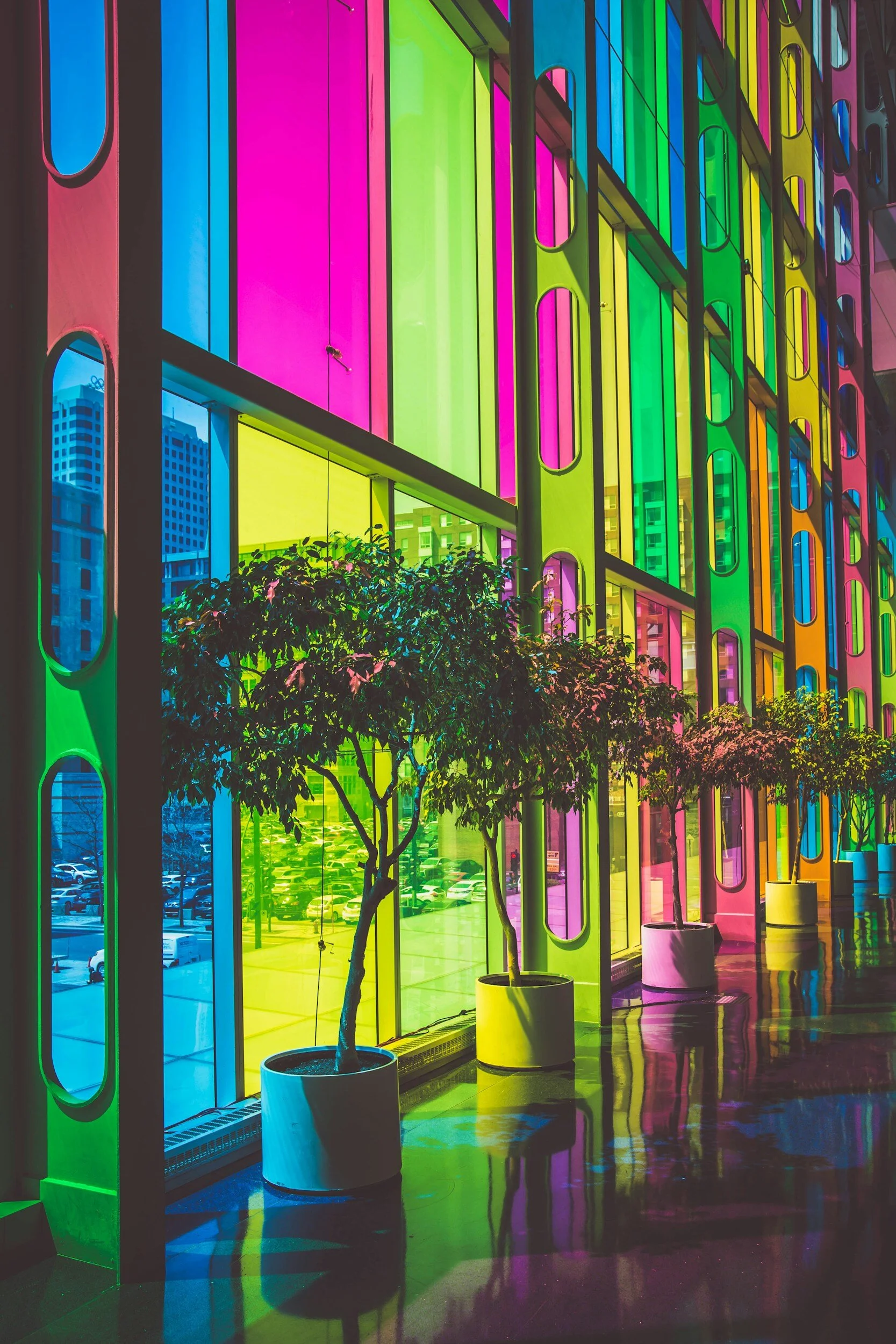 A Colorful Stay