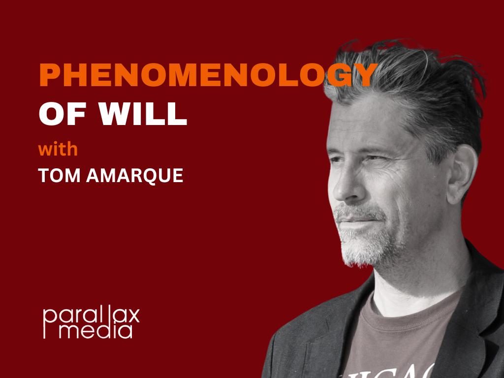 Seminar: Phenomenology of Will