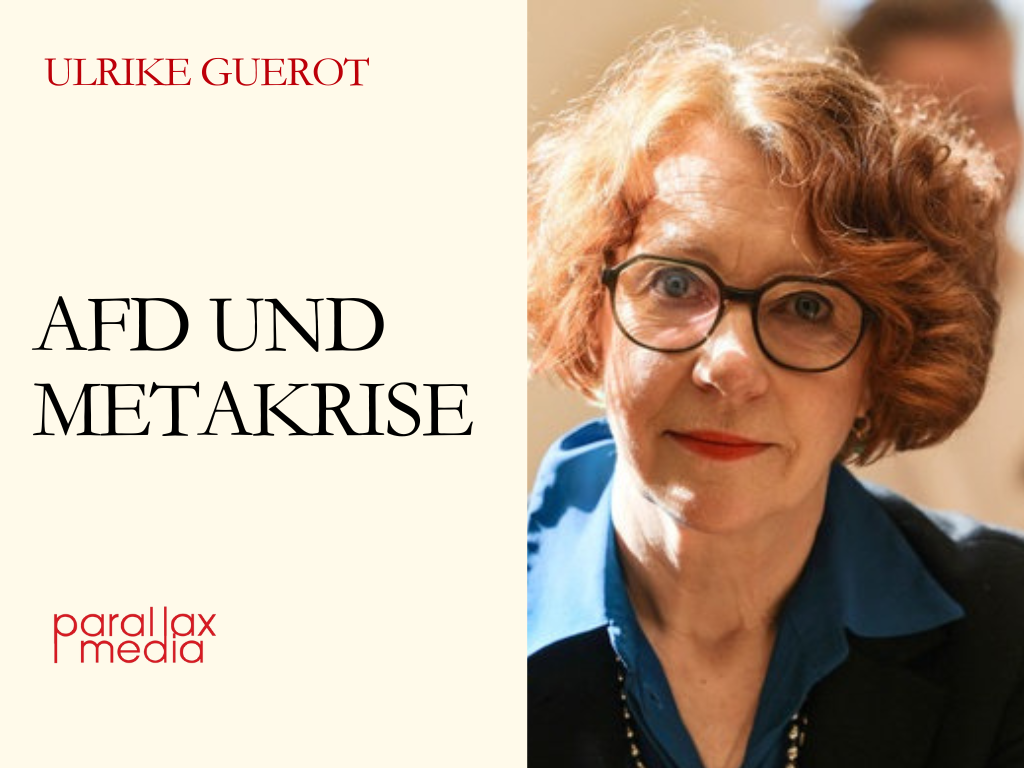 AfD, Medien und Meta-Krise - mit Professor Ulrike Guérot