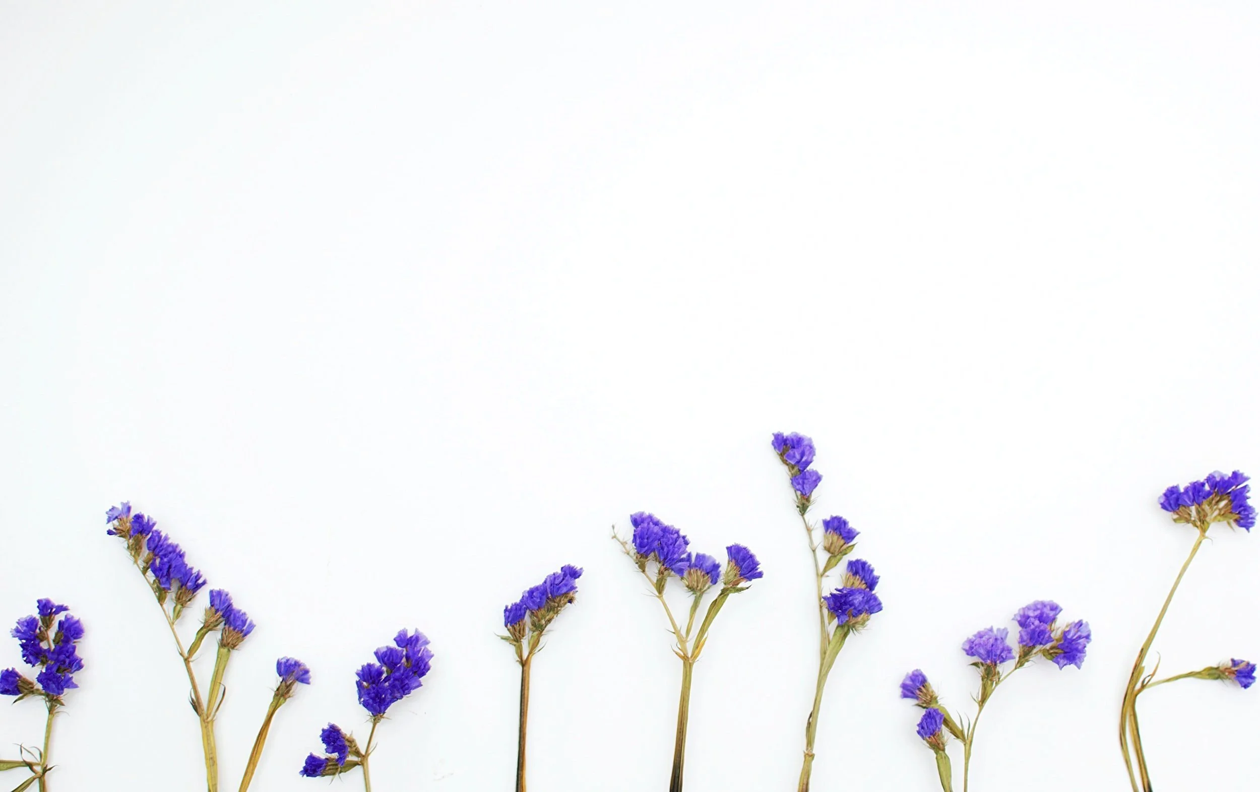 unsplash-image-nBcOnMoP18g.jpg