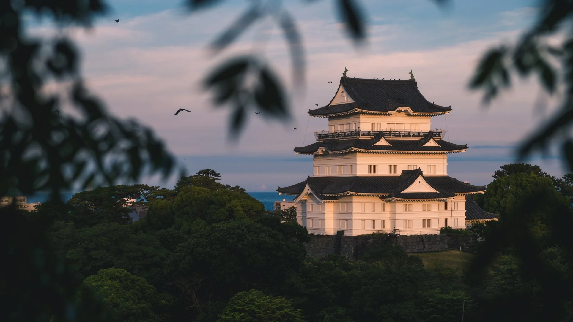 Odawara Castle