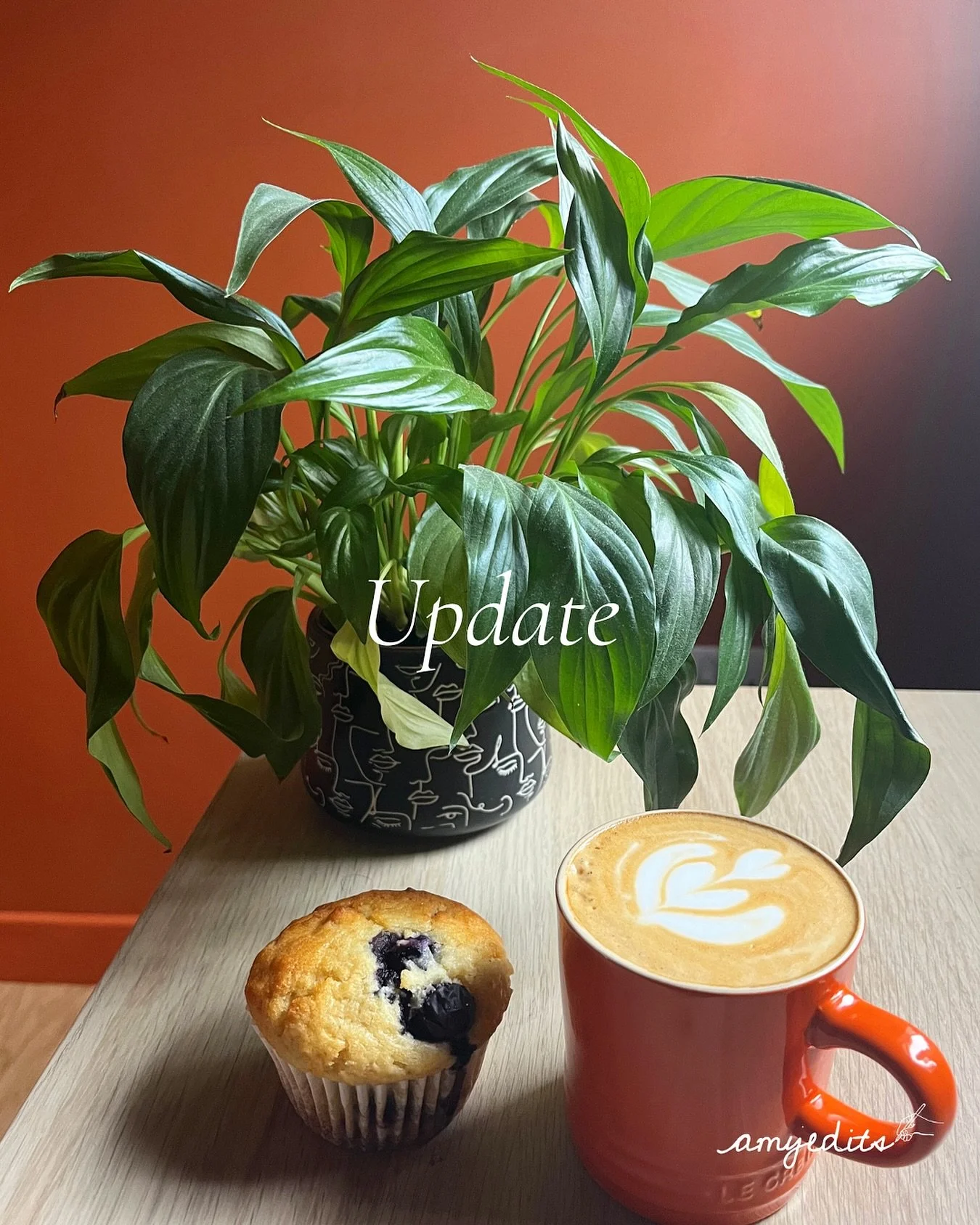Forgive me &ndash; I only realised how dusty the plant was after I&rsquo;d eaten the muffin.⁣
⁣
Anyway! It&rsquo;s time for a quick update methinks&hellip;⁣⁣⁣
⁣
🙋&zwj;♀️: Me? I&rsquo;m doing just fine. August treated me well. I went on a trip, the w