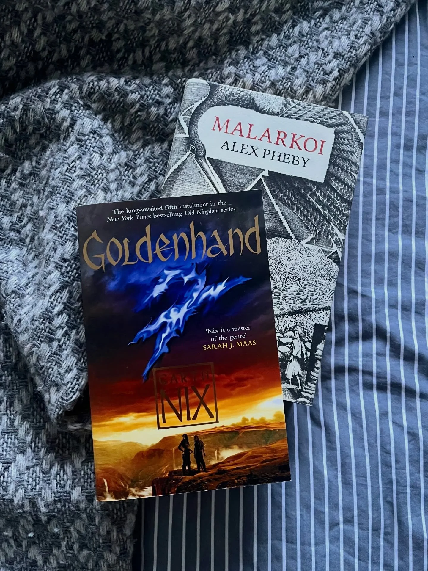 The books the editor has her eye on this year&hellip;

1. The fantasy series&rsquo; I never finished ✨
2. The literary novels I bought in 2025 but didn&rsquo;t get round to 📚 
3. The books I borrowed from friends and have yet to return 😬
4. The boo