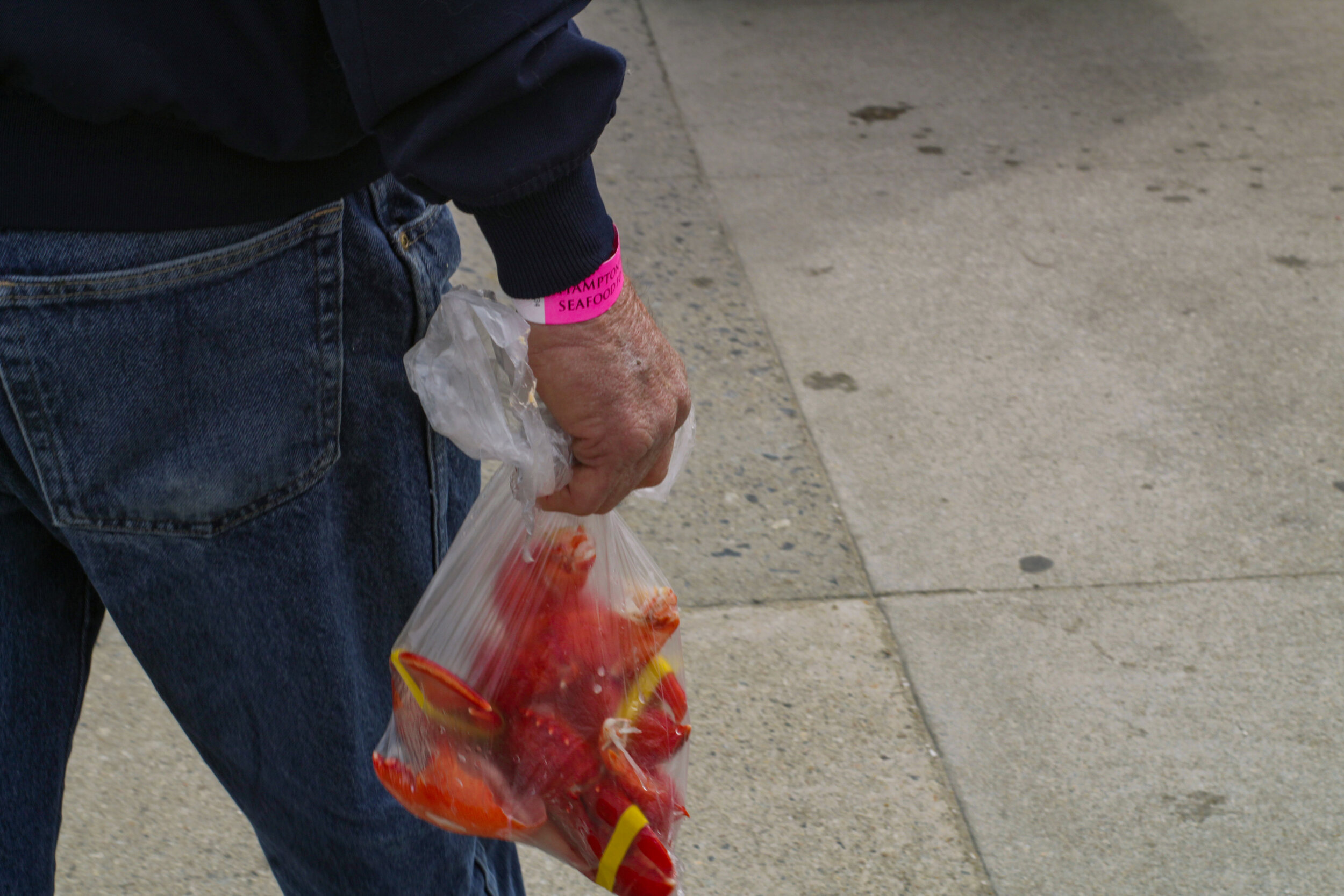 ClawsinaBag.jpg