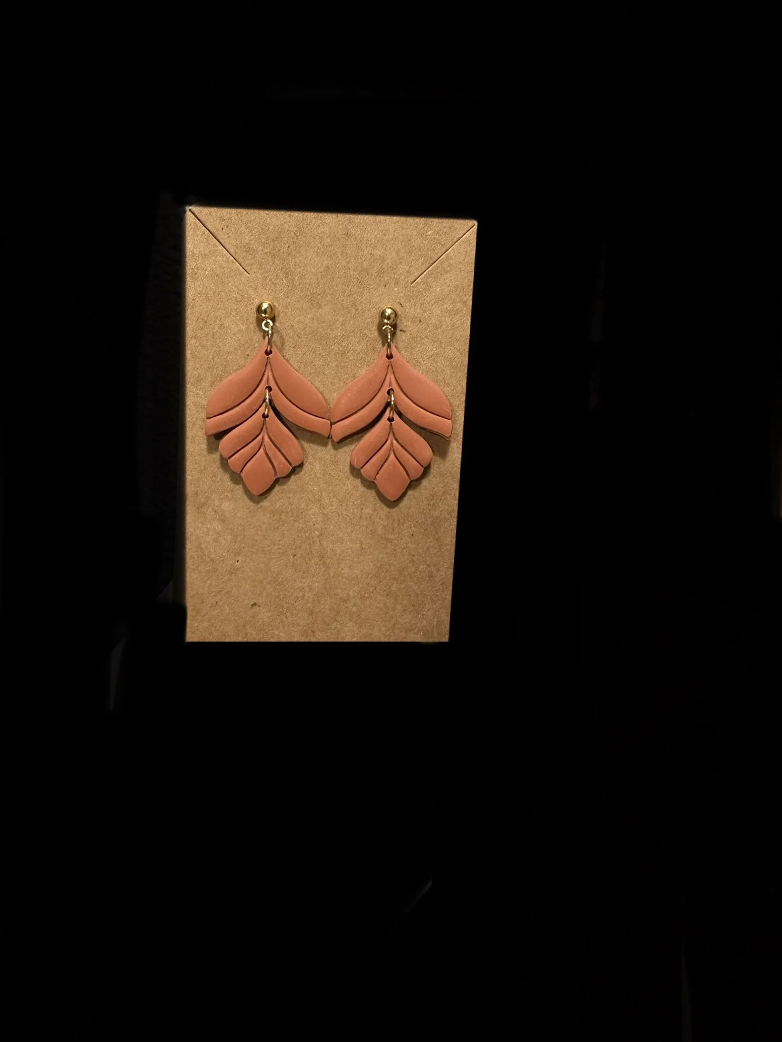 34CACD1E-913E-461A-9FC1-DD73EF50A234