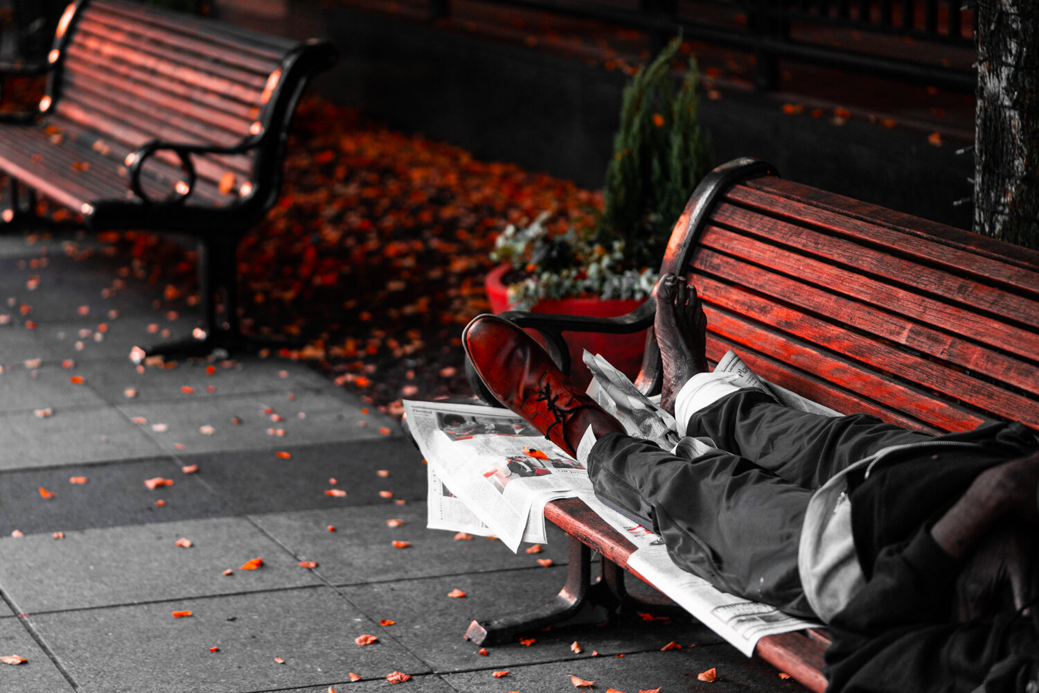 Destitute