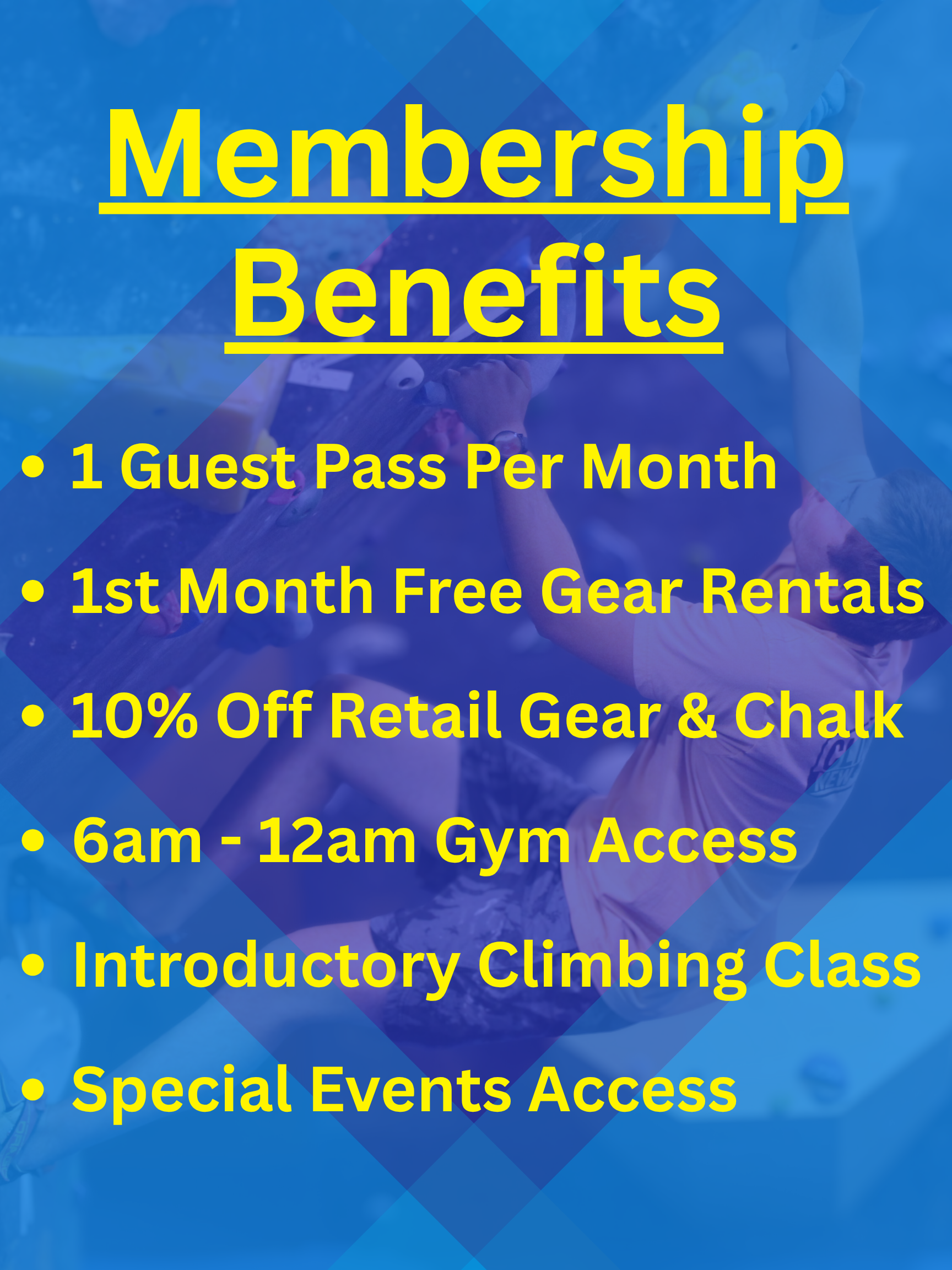 Membership Benefits (Posters (Portrait, 34)).png