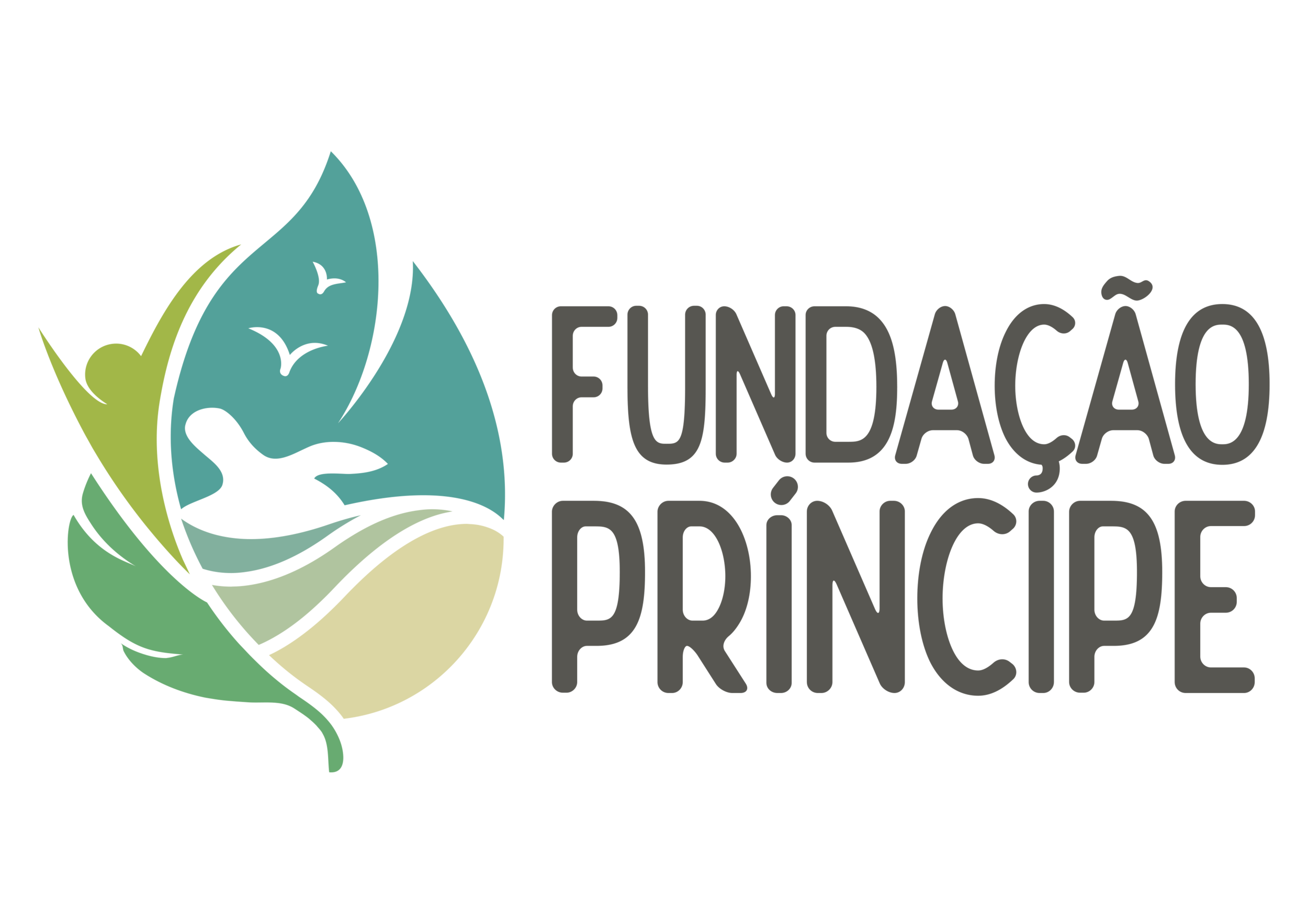 ONG Fundação Príncipe