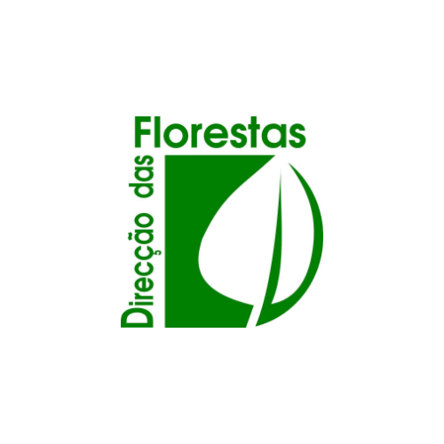 Direção das Florestas x Fundação Principe.png