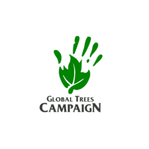 Global Trees Campaign x Fundação Principe.png