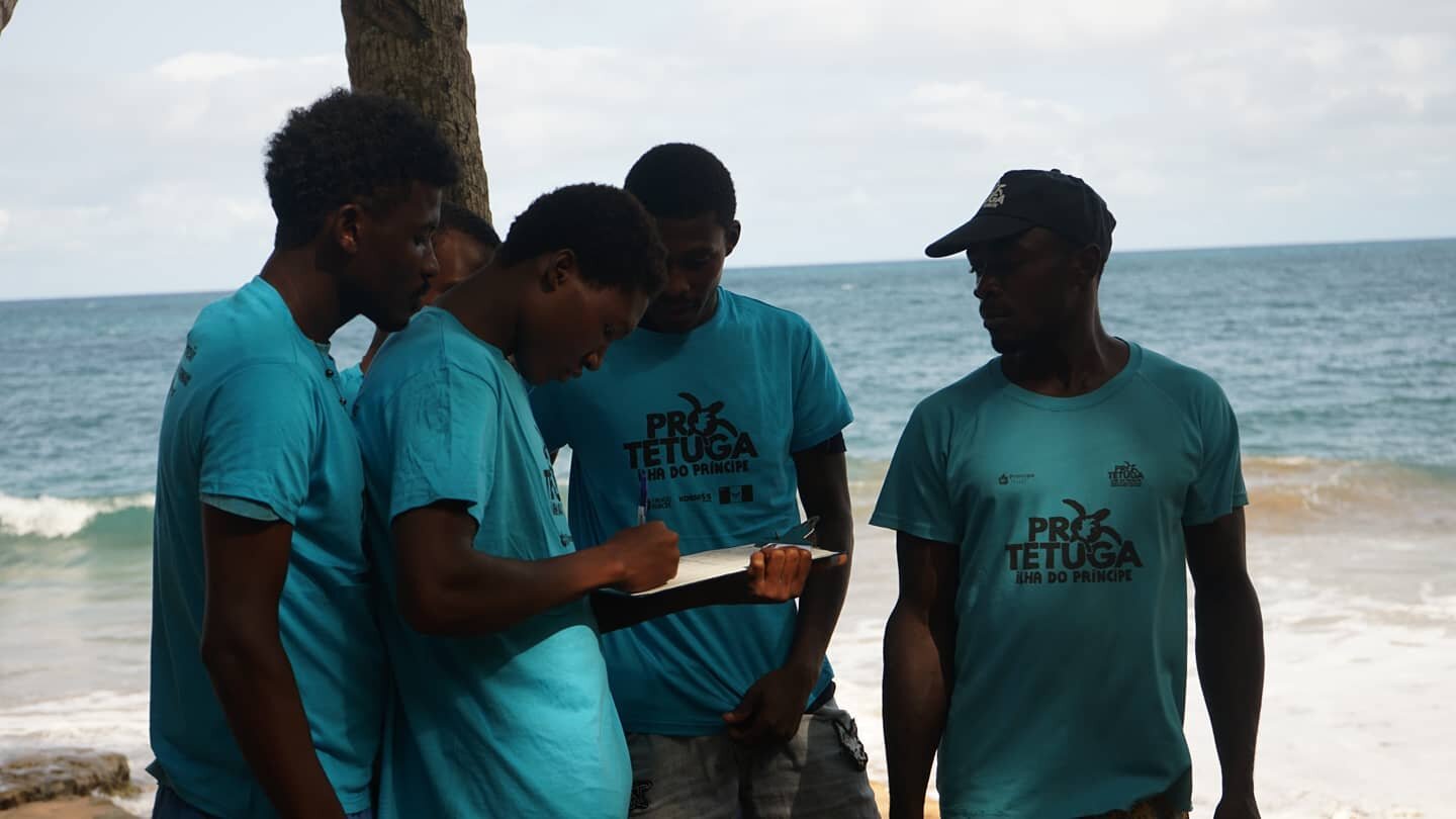 Começou a temporada de desova das tartarugas marinhas 