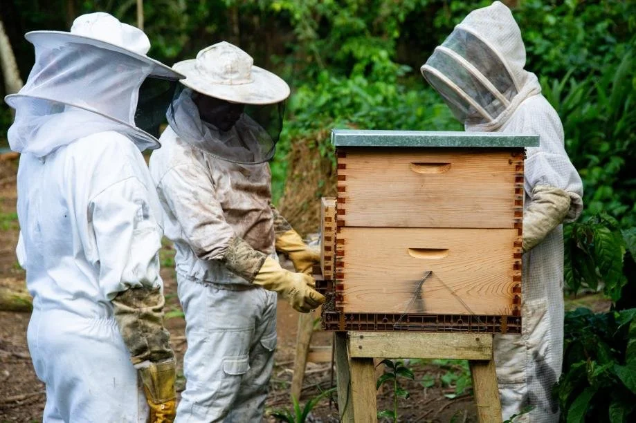 Reportagem da CNN conta a história da Coopapip na série Call to Earth 