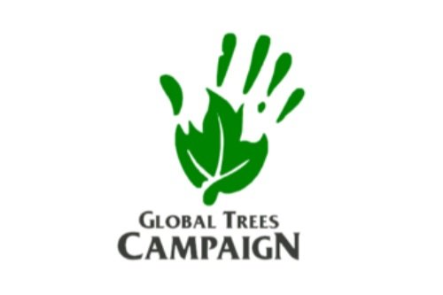Global+Trees+Campaign+x+Fundac%CC%A7a%CC%83o+Principe.jpg