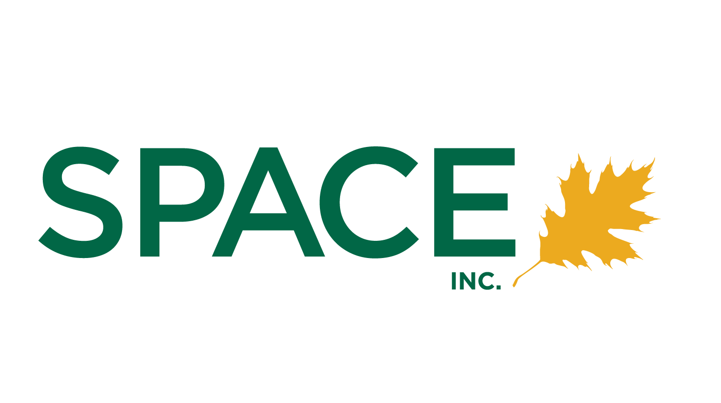 SPACE_Logo-wordmark-hires.png