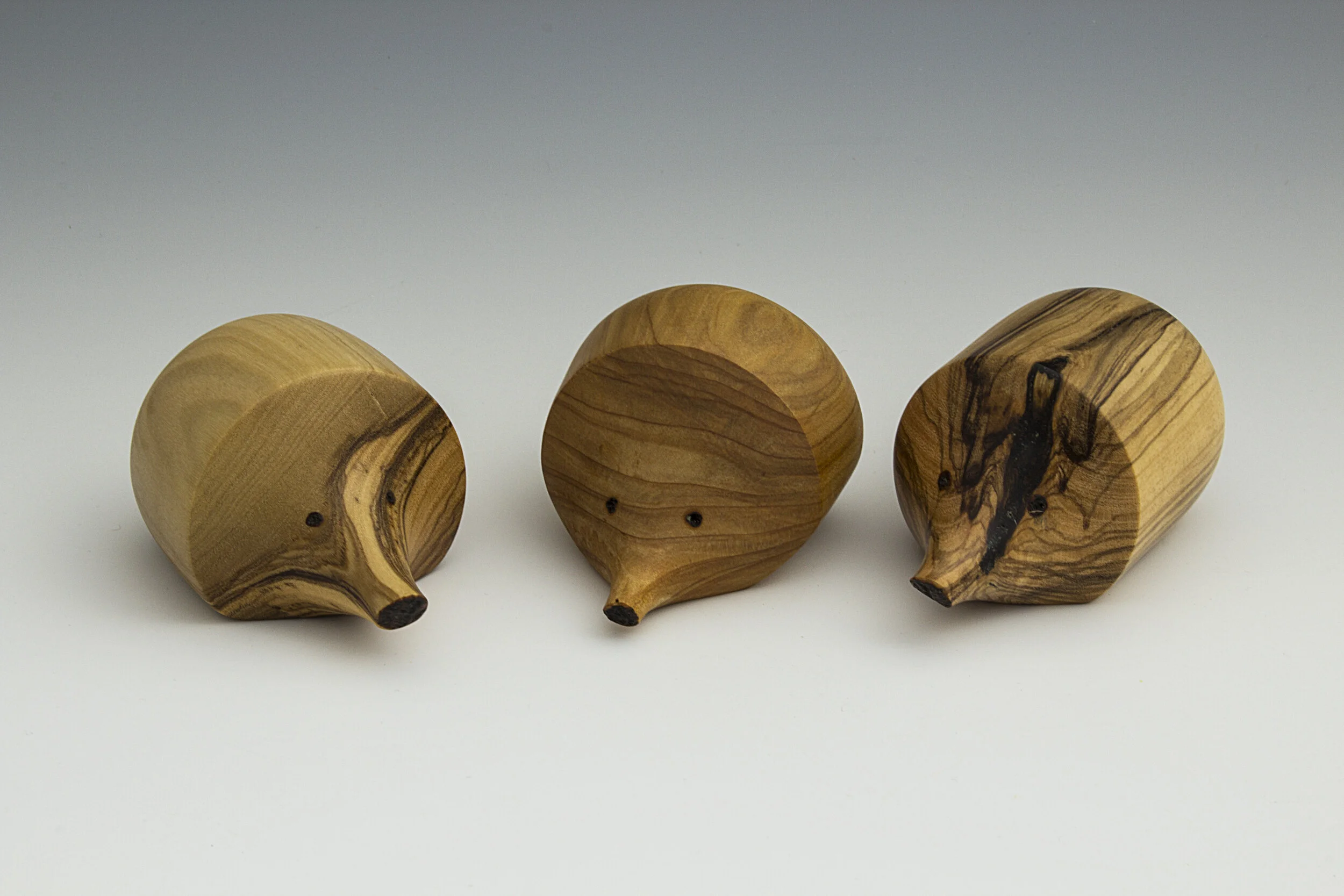 IMG_8669 hedgehogs 1.jpg