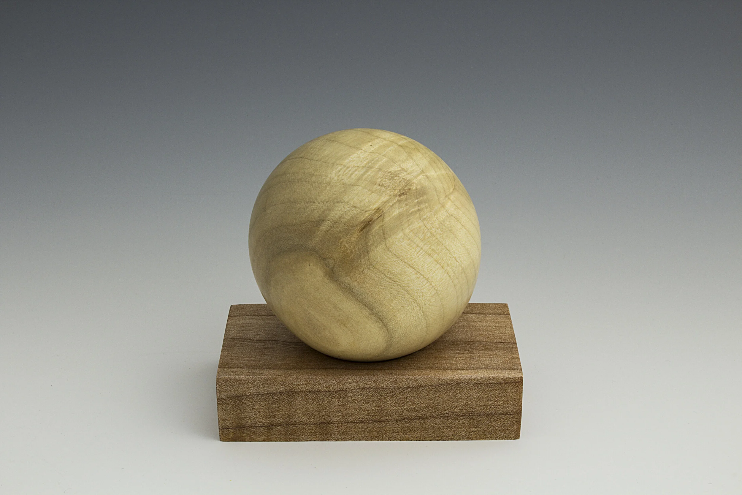 IMG_8689 silver maple.jpg