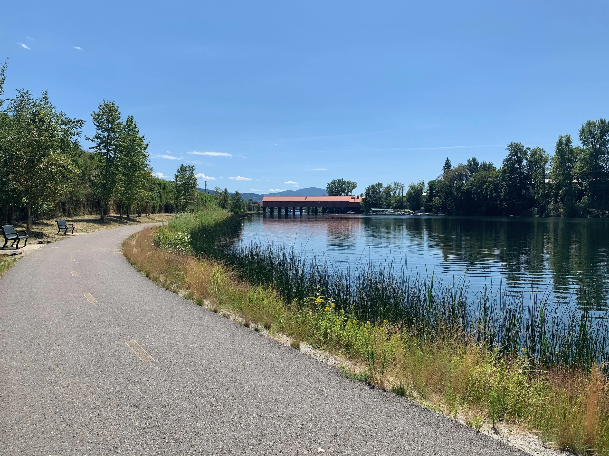Cedar Street Bridge from bikepath Sandpoint.jpeg