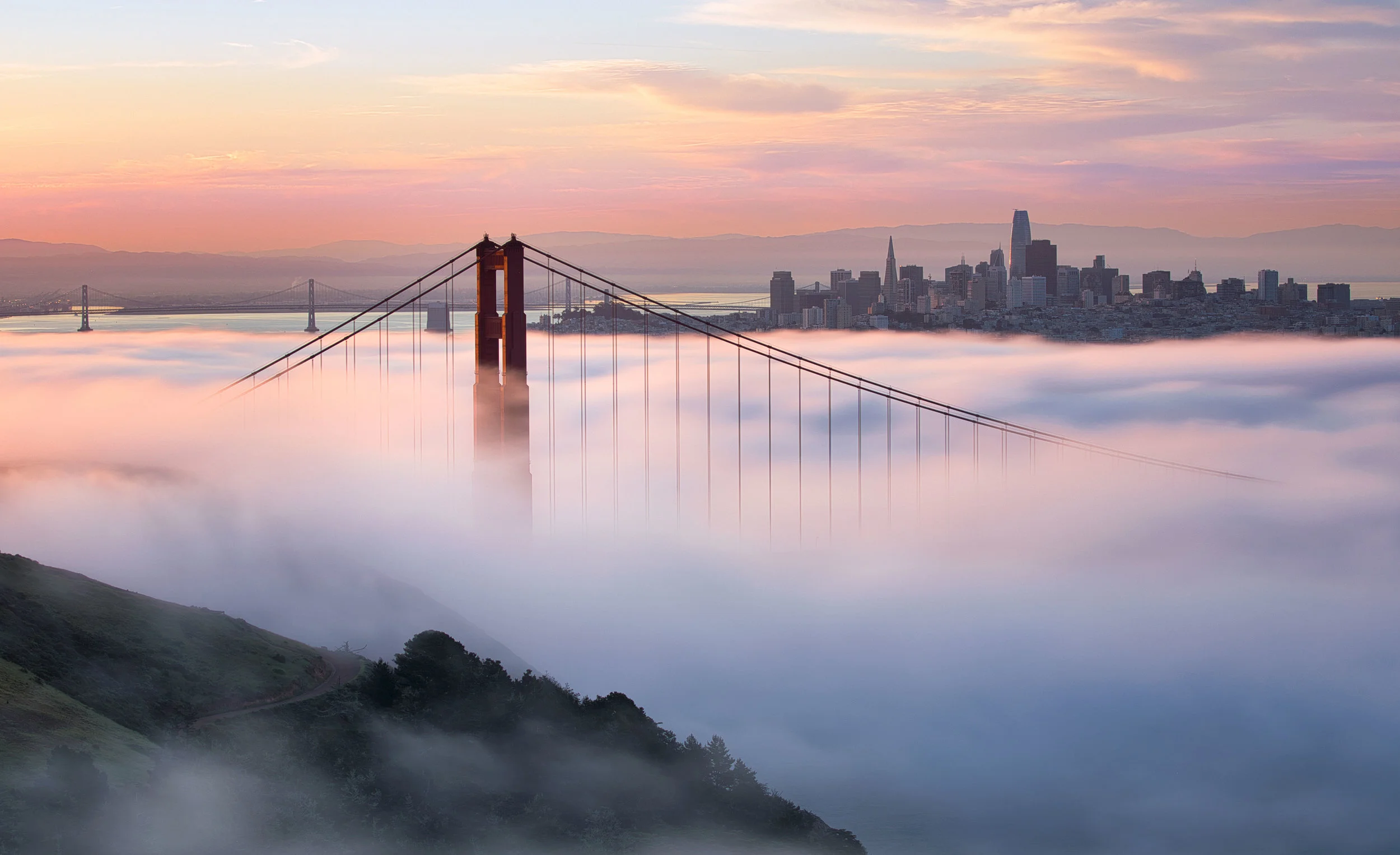 Fog lines