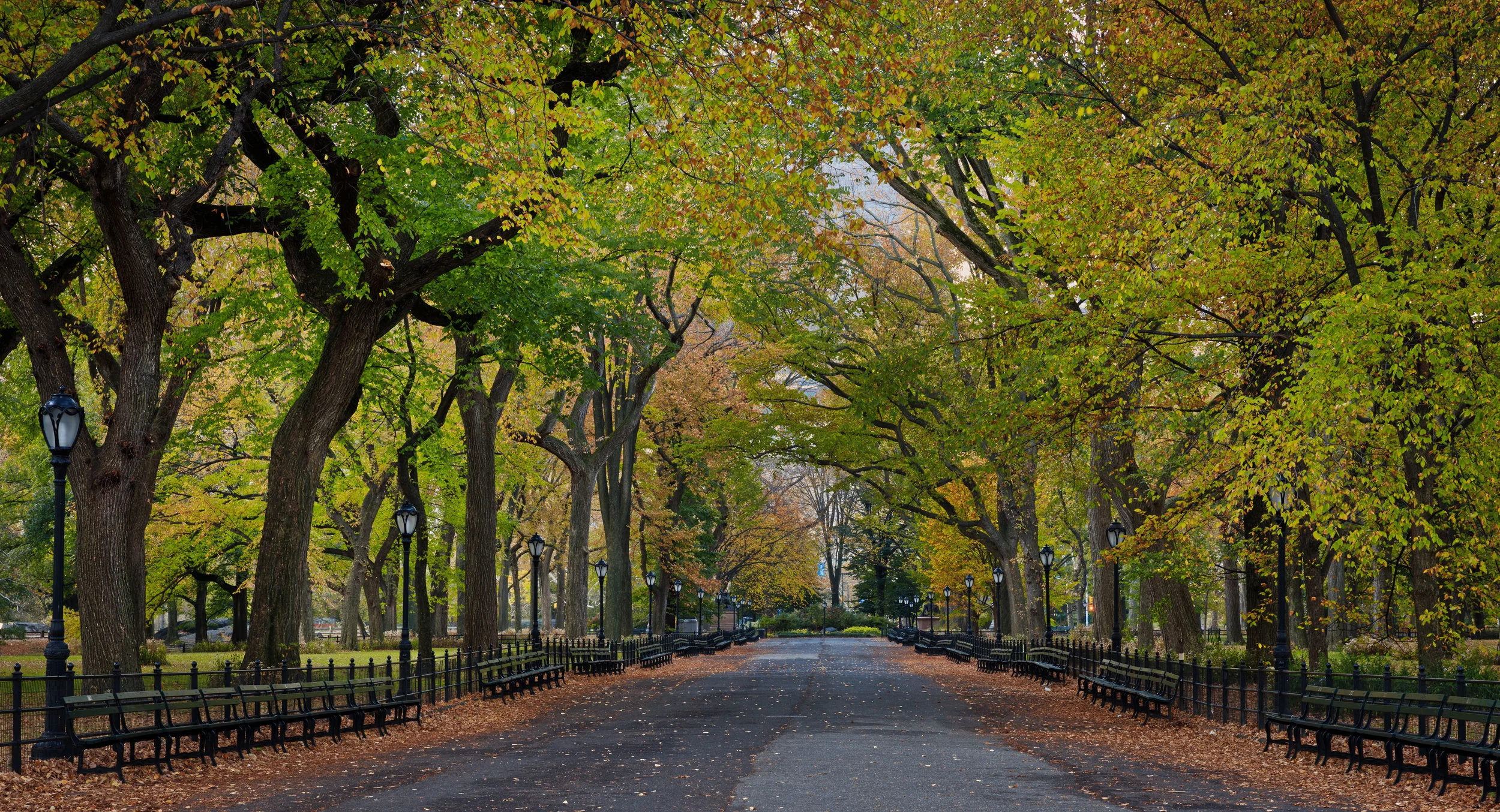A stroll in the park, New York