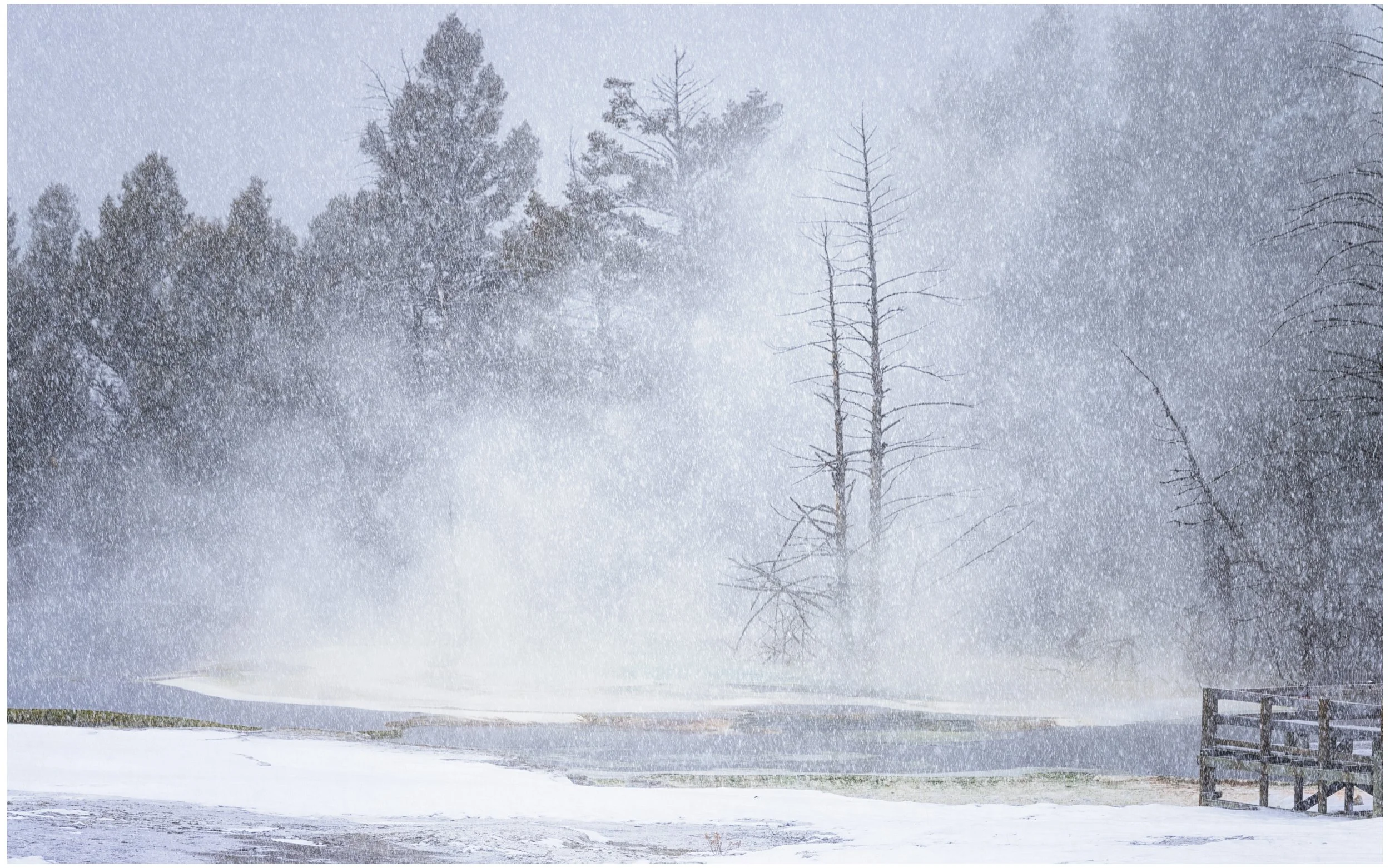 A quiet world, still burning within