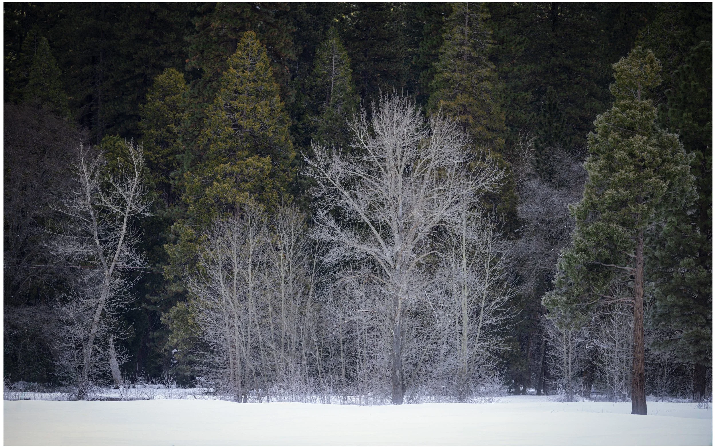Yosemite Valley in the Winter