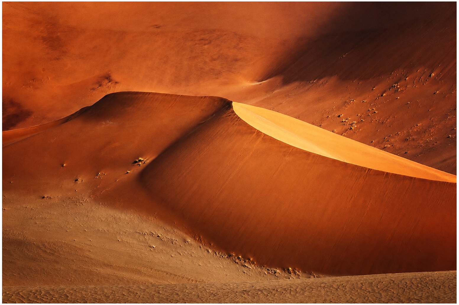 Dune 45