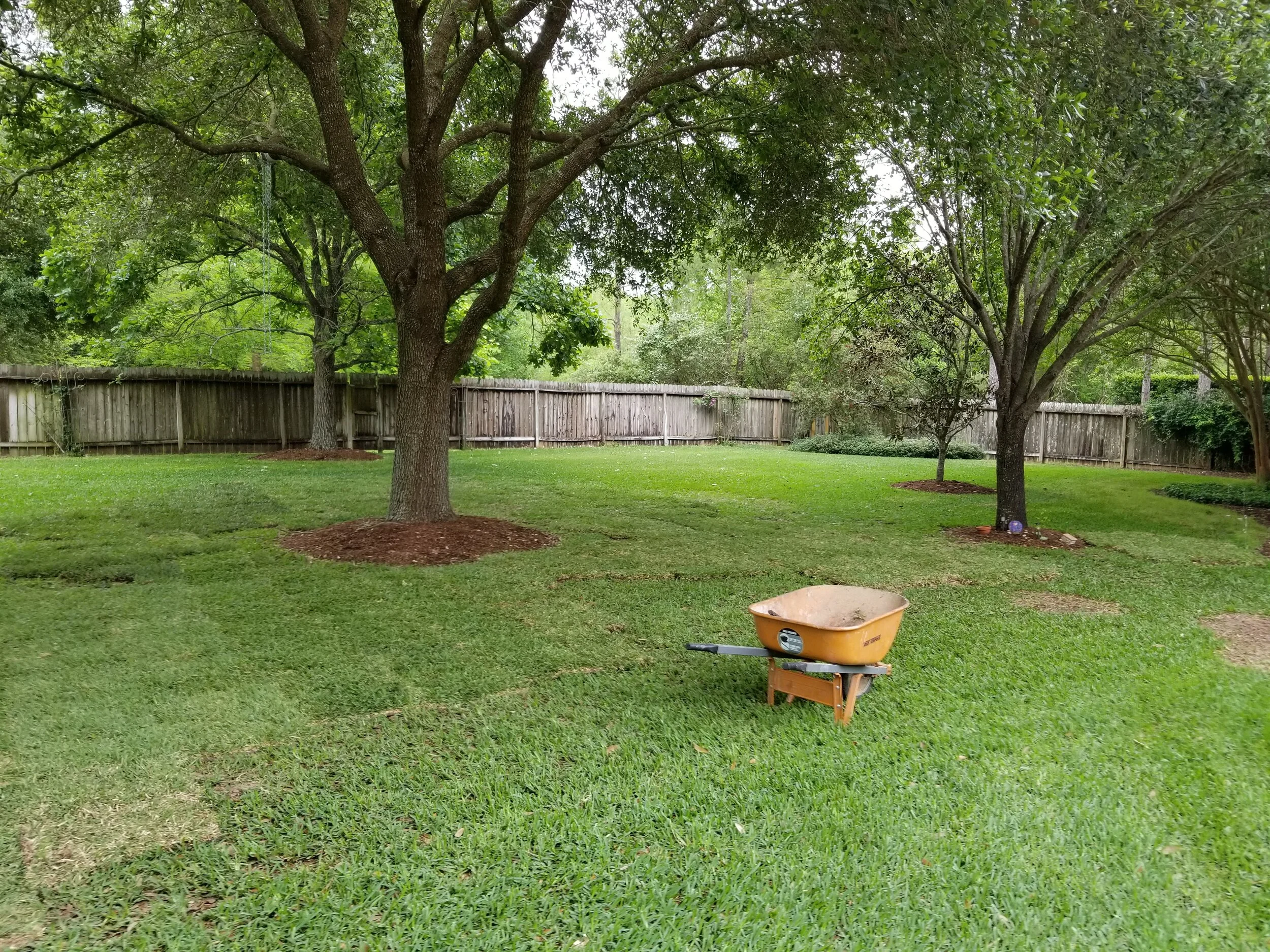 level and sod 1 (2).jpg