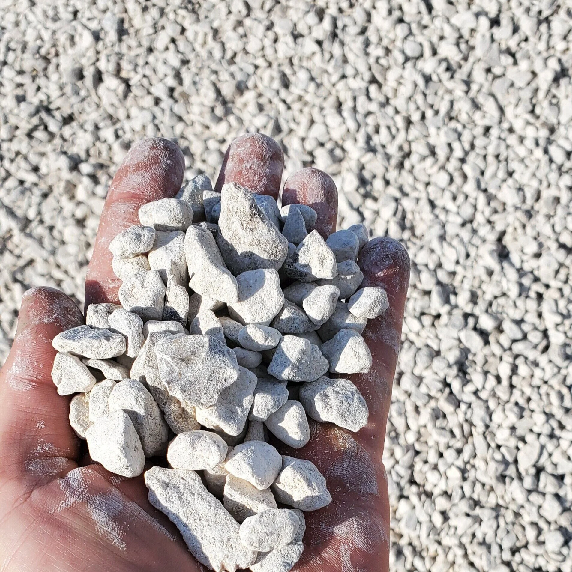 white+star+gravel.jpg