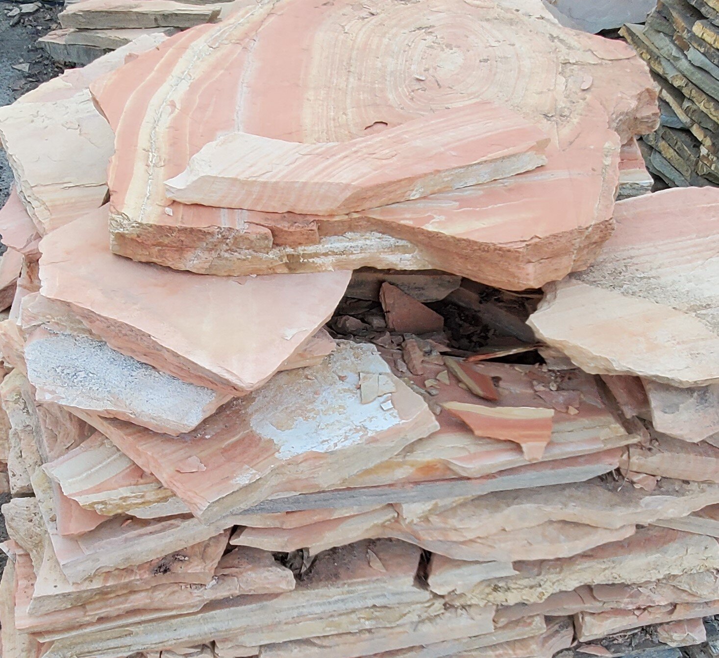 20200831_071428 (2).jpg