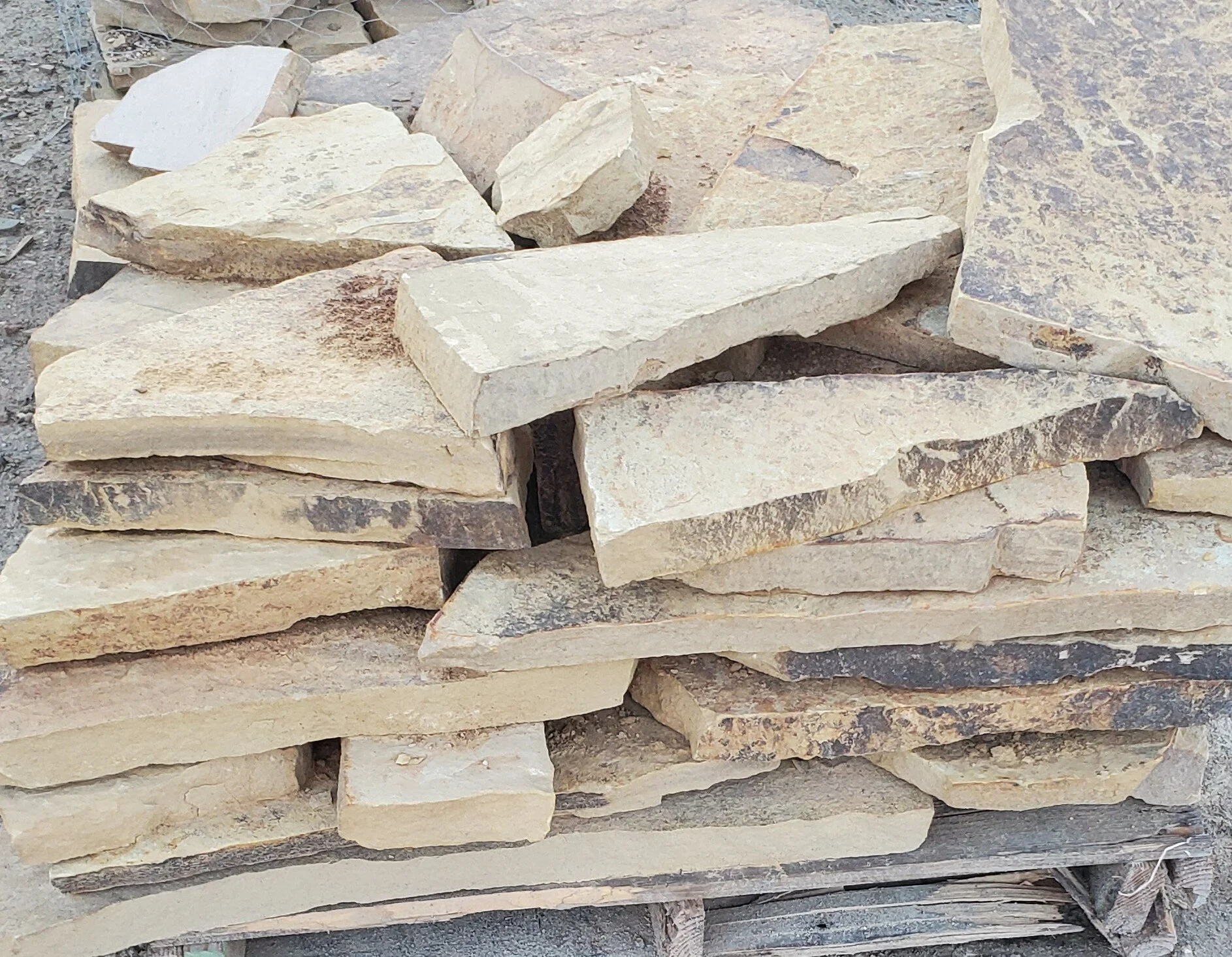 20200831_071356 (2).jpg