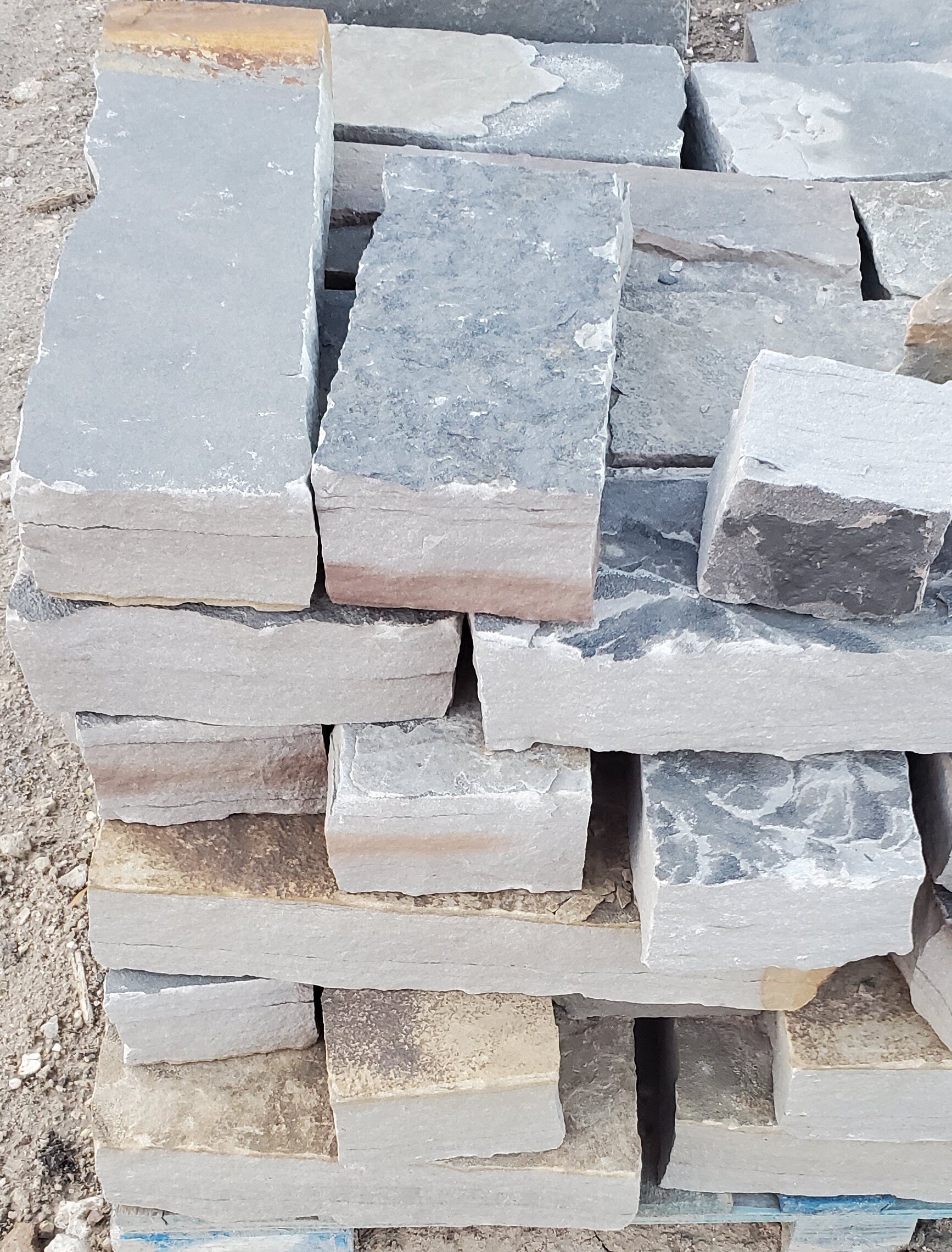 20200831_071334 (2).jpg