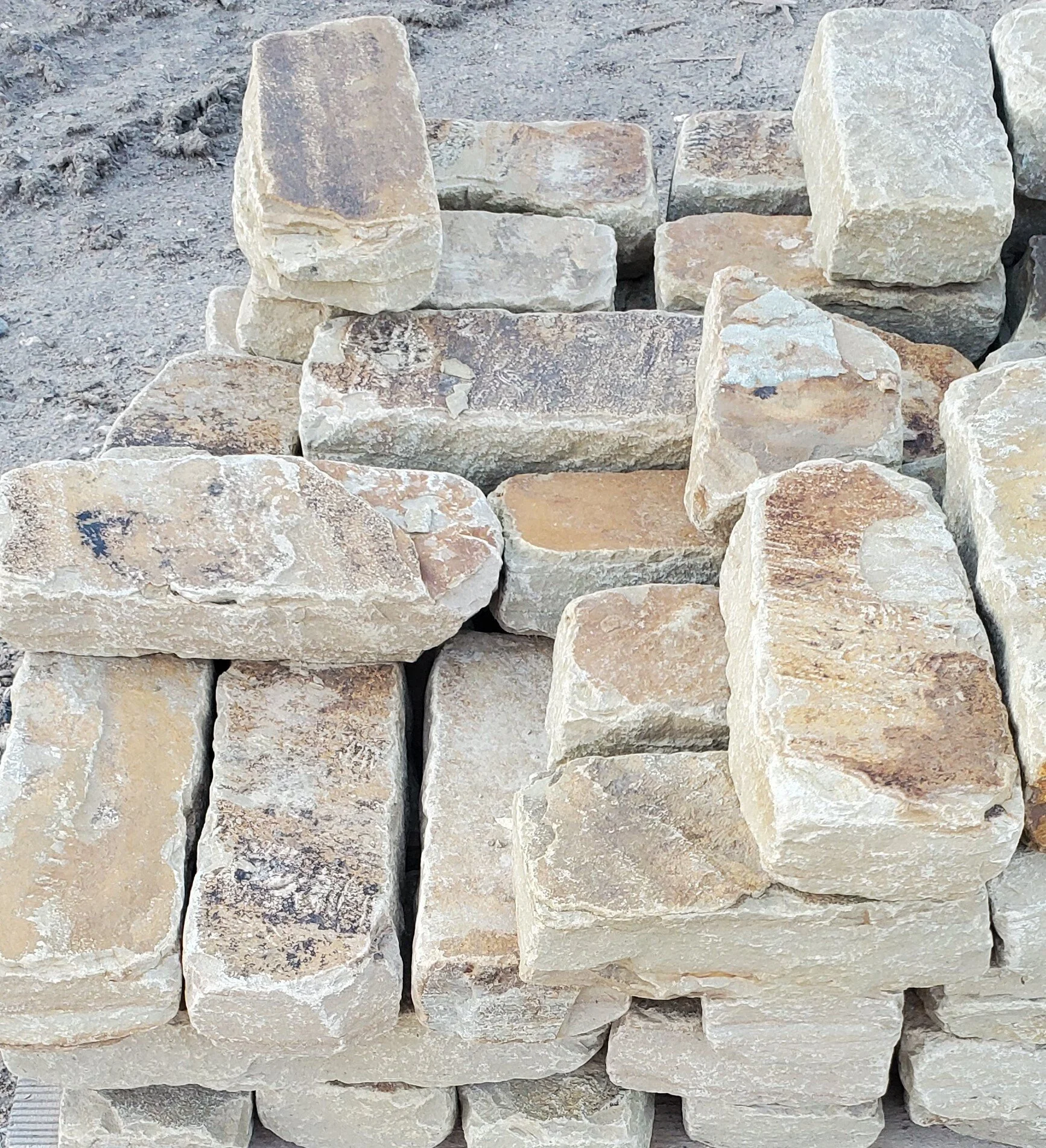 20200831_071348 (2).jpg