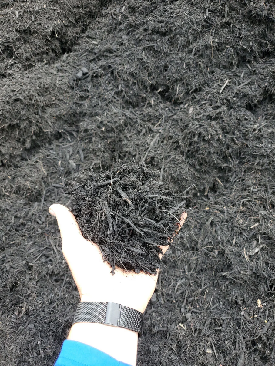 Black-Mulch(1).jpg