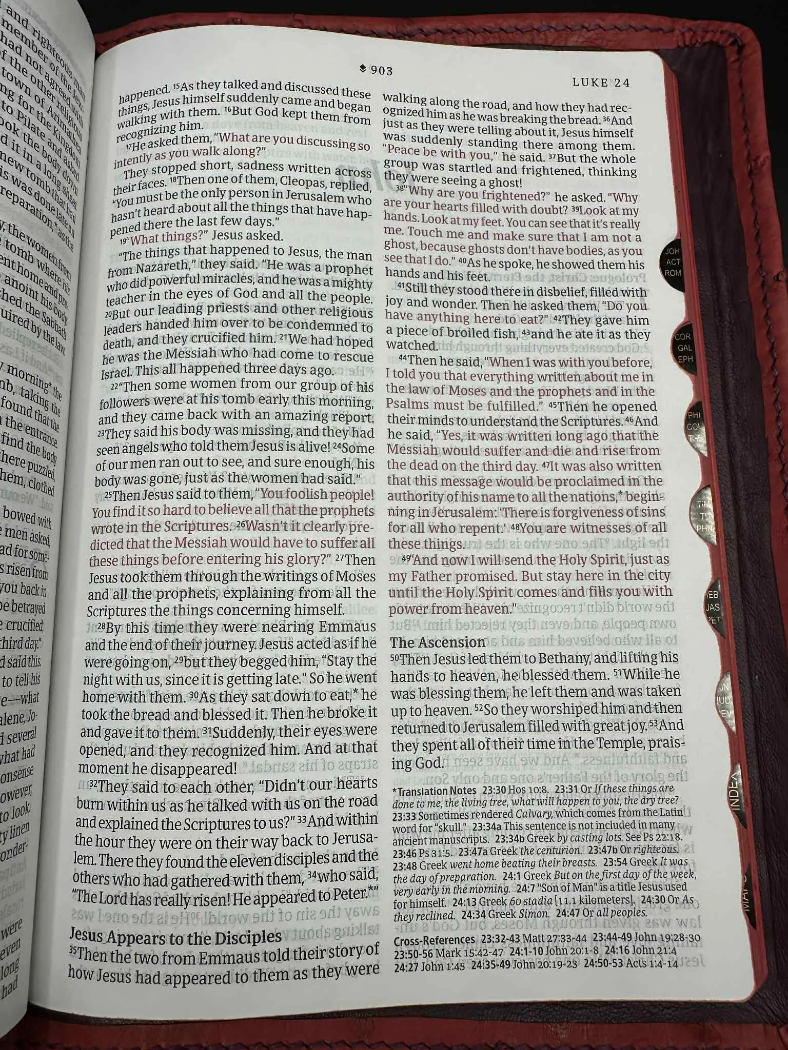 856b46ce-f03f-4f68-963e-6596f5126c3d.jpg