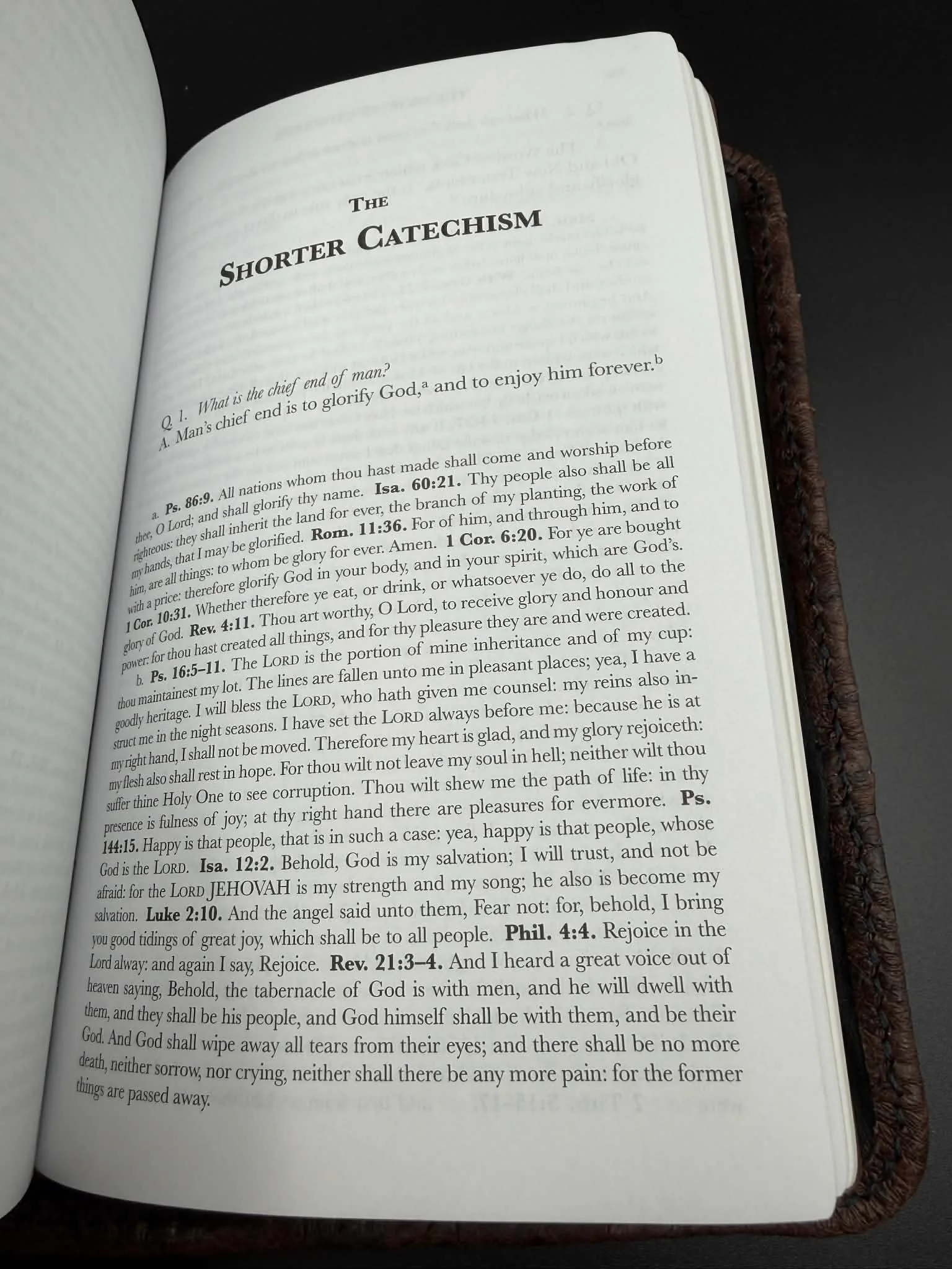 580d9df5-bb17-4f7b-bc76-69bbaf1bc1e0.jpg (Copy)