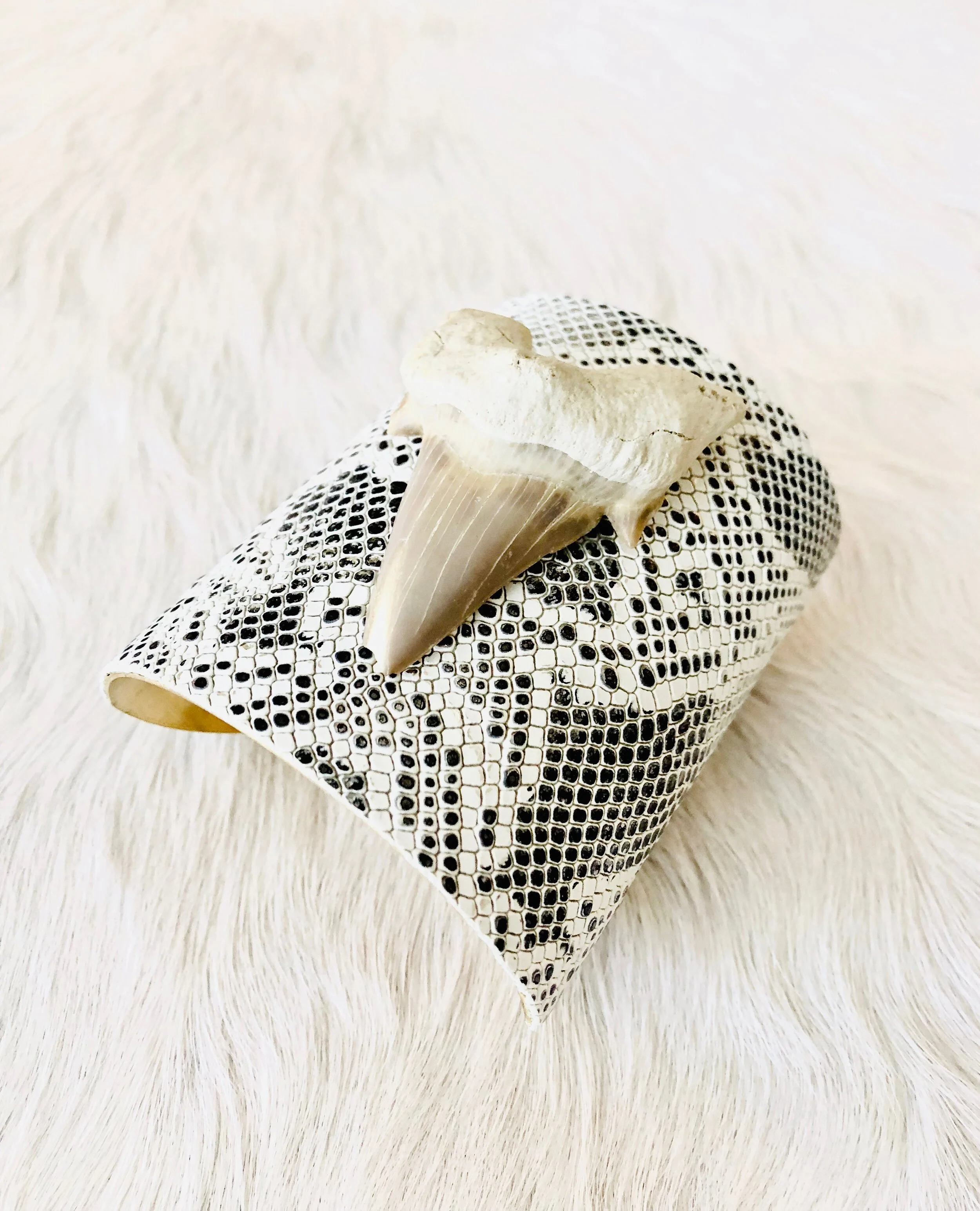 Sharks Tooth Cuff